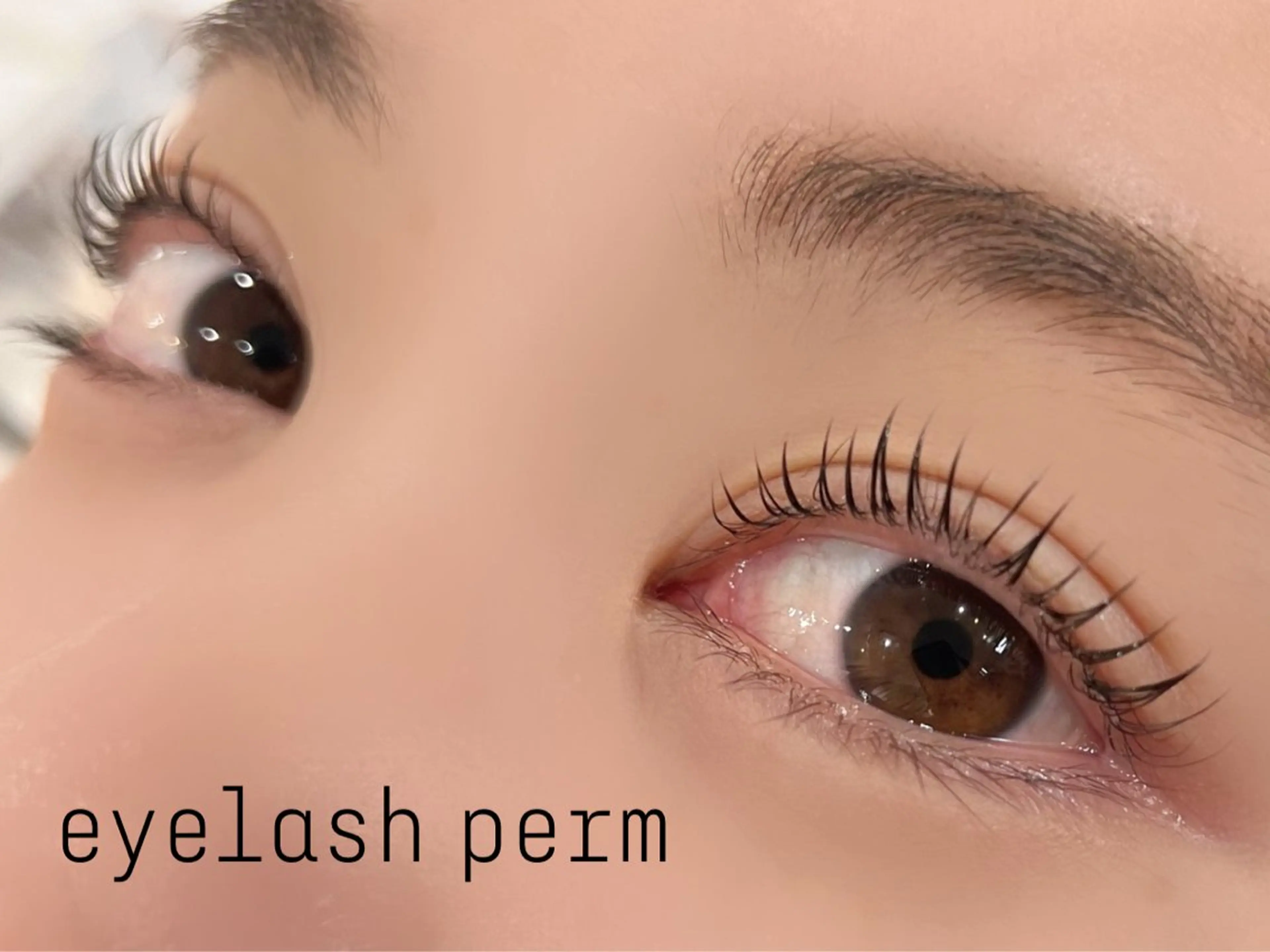 マツエク・マツパ マツパ eyelashZen ♥️HIMEのマツエク・マツパデザイン