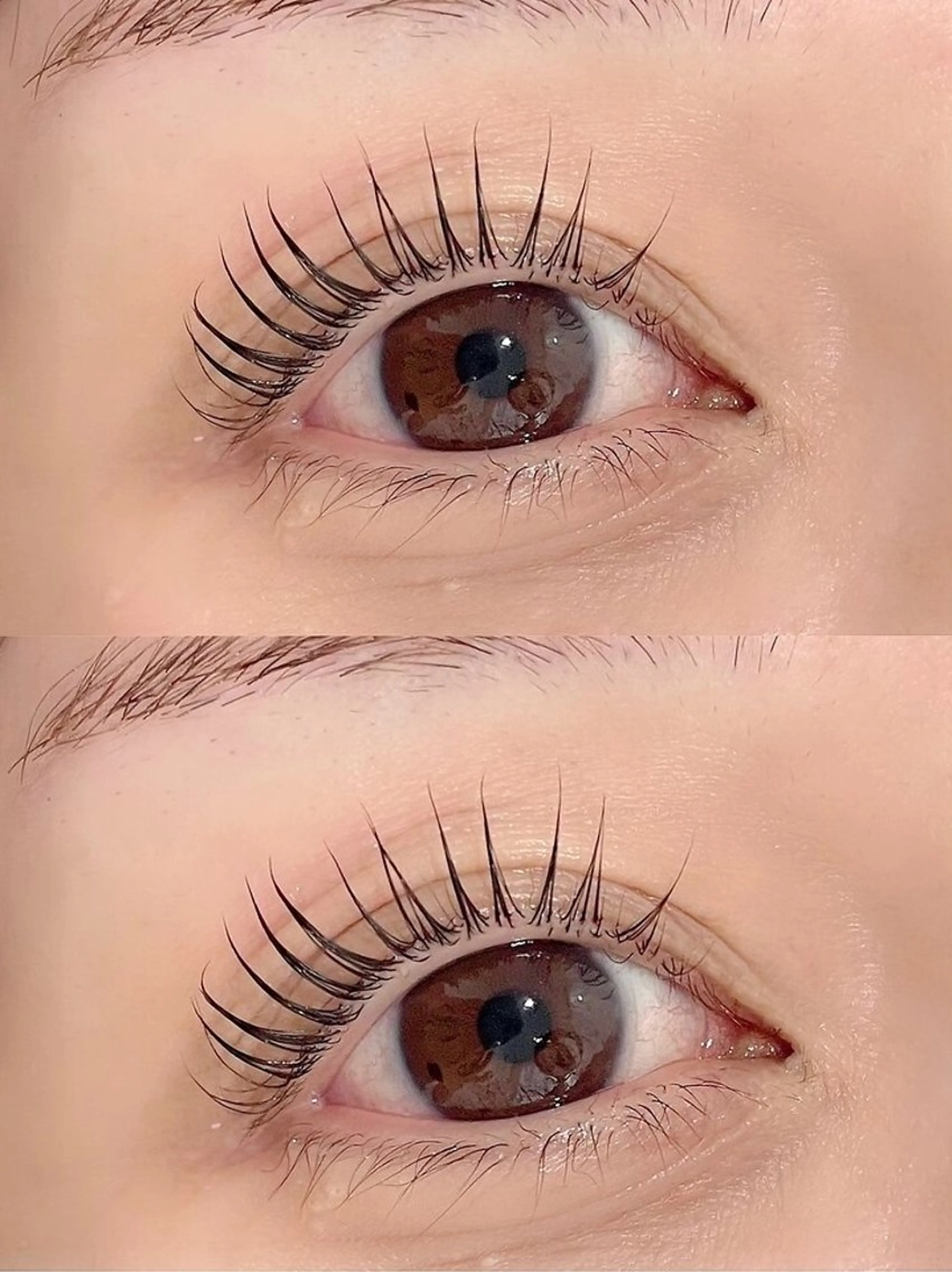 マツエク・マツパ パリジェンヌラッシュリフト まつげパーマ マツパ アトリエFAM所属・アイラッシュ アトリエFAMのマツエク・マツパデザイン