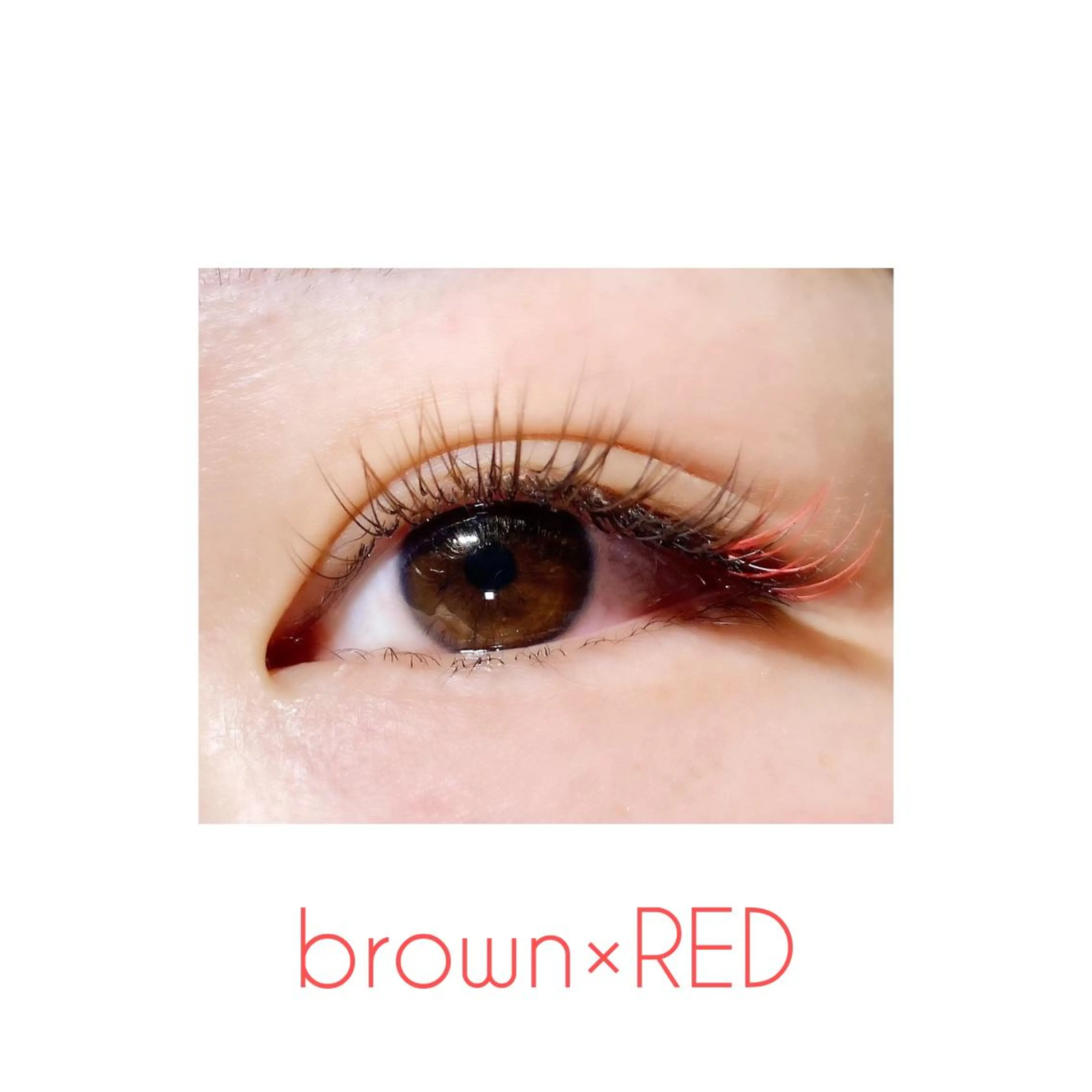 マツエク・マツパ カラーマツエク マツエク Belliy 尾崎美柚のマツエク・マツパデザイン