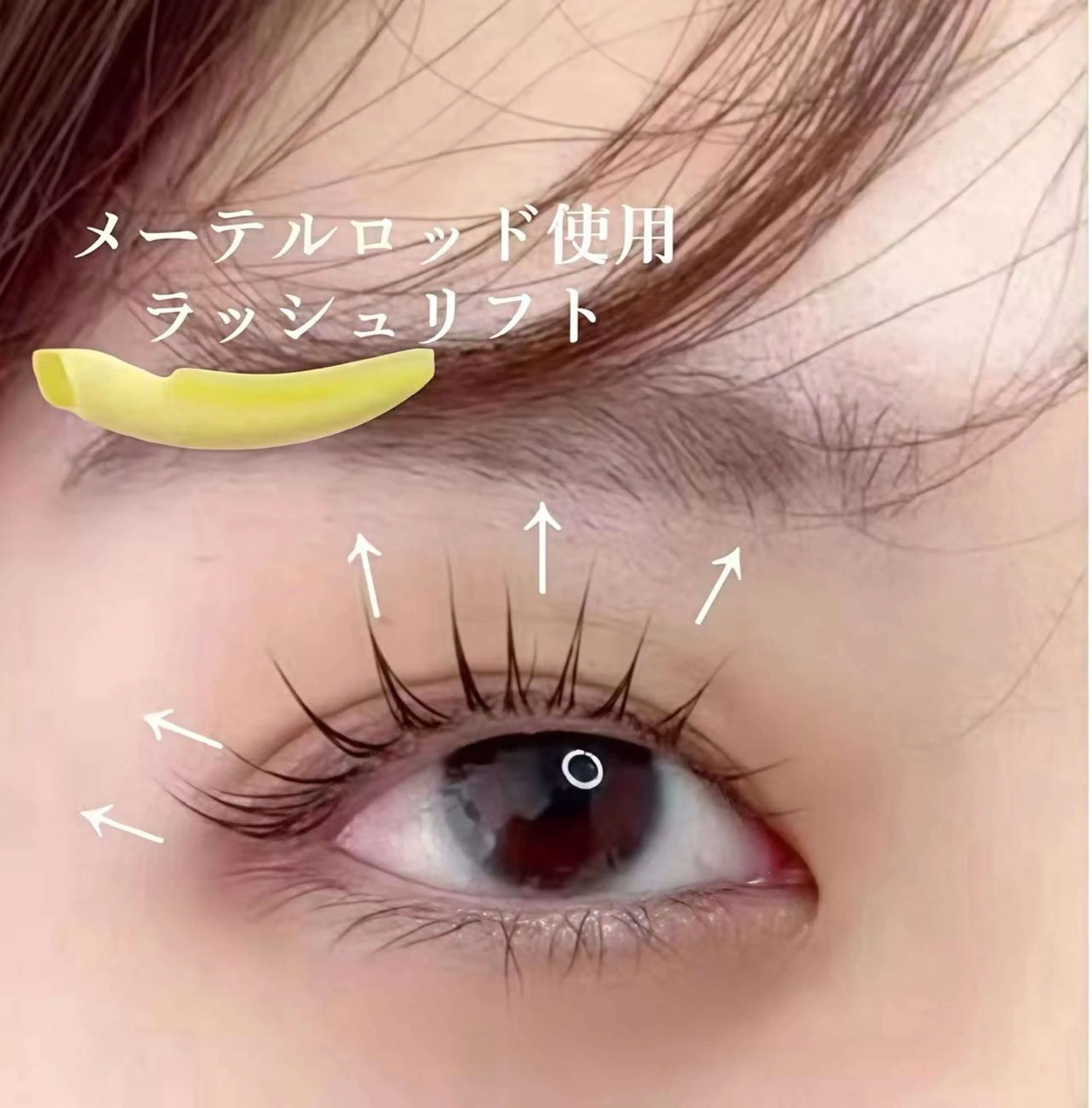 メーテルラッシュリフト韓国風・束感（美容液＋コーティング付き）の写真