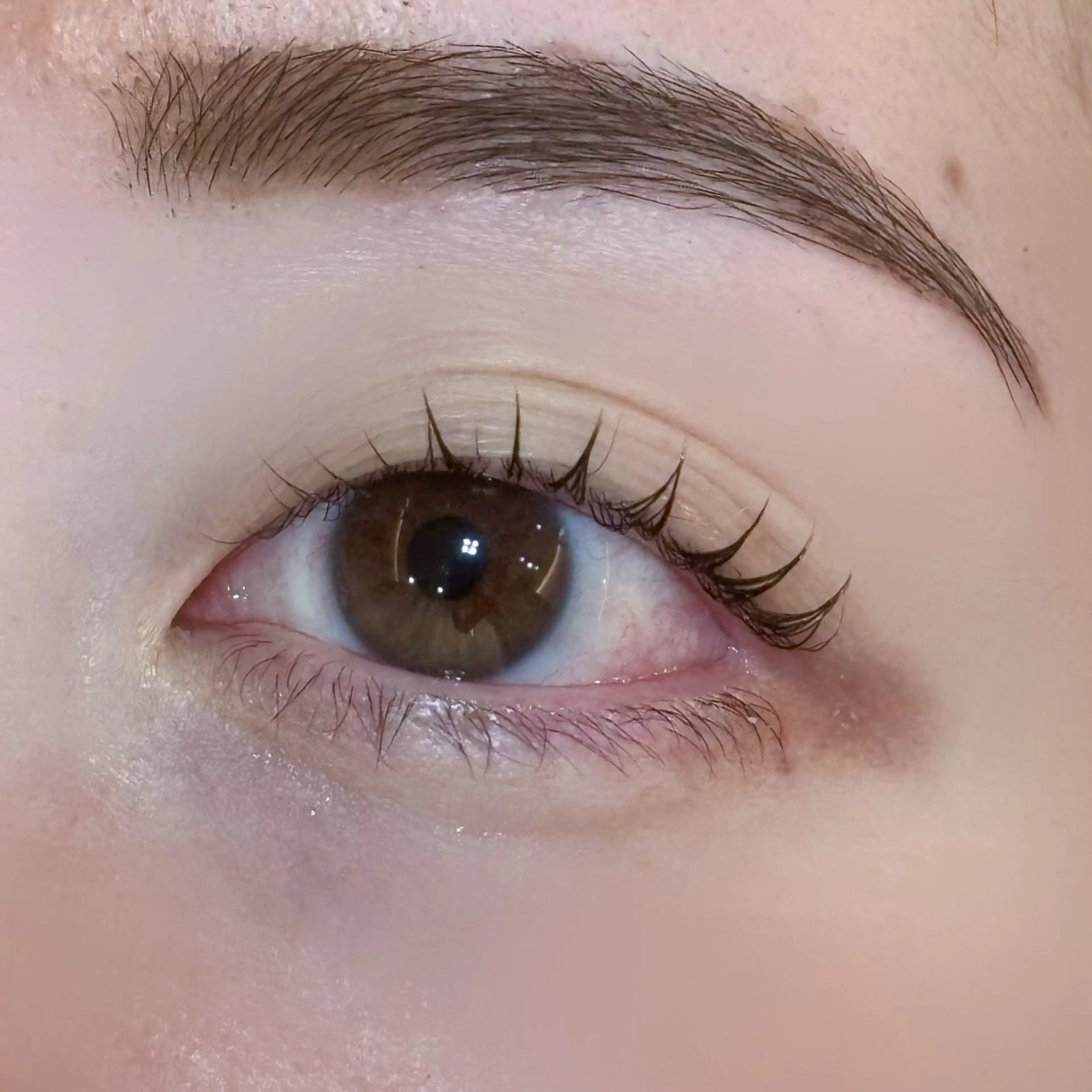 マツエク・マツパ lieu plie riinaのマツエク・マツパデザイン