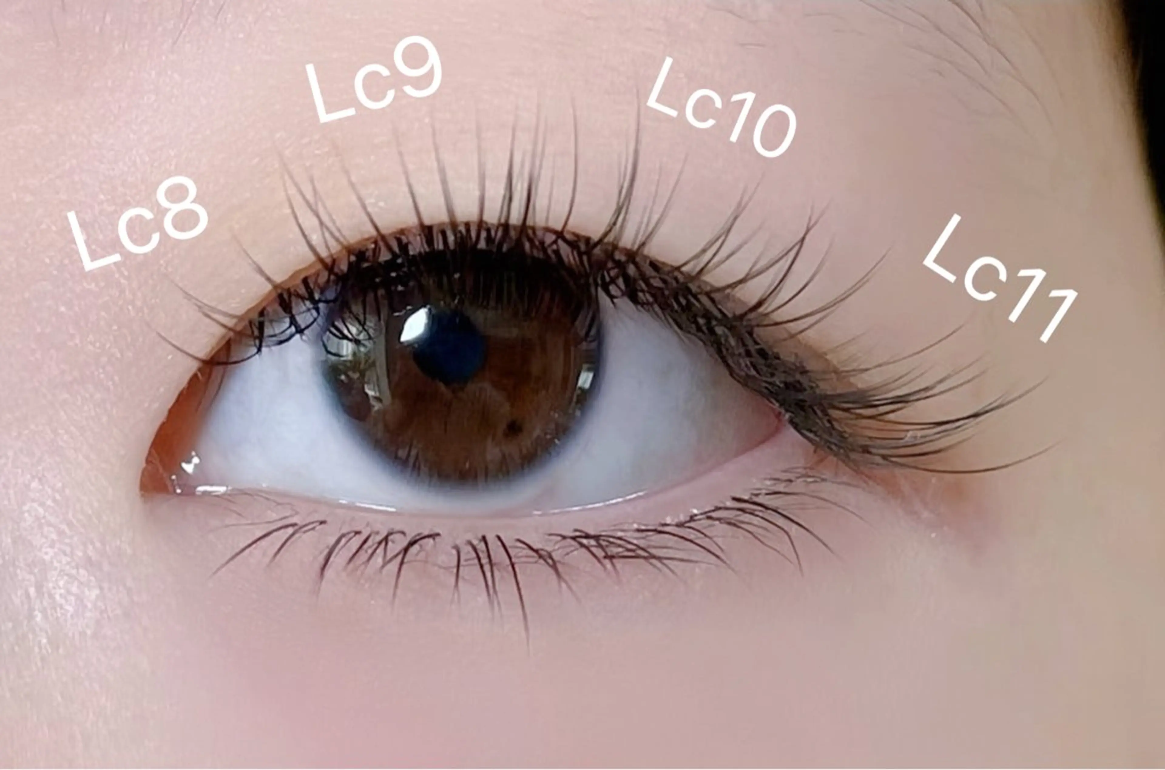 マツエク・マツパ マツエク EMA BEAUTY所属・EMA BEAUTY マツエクサロン池袋店のマツエク・マツパデザイン