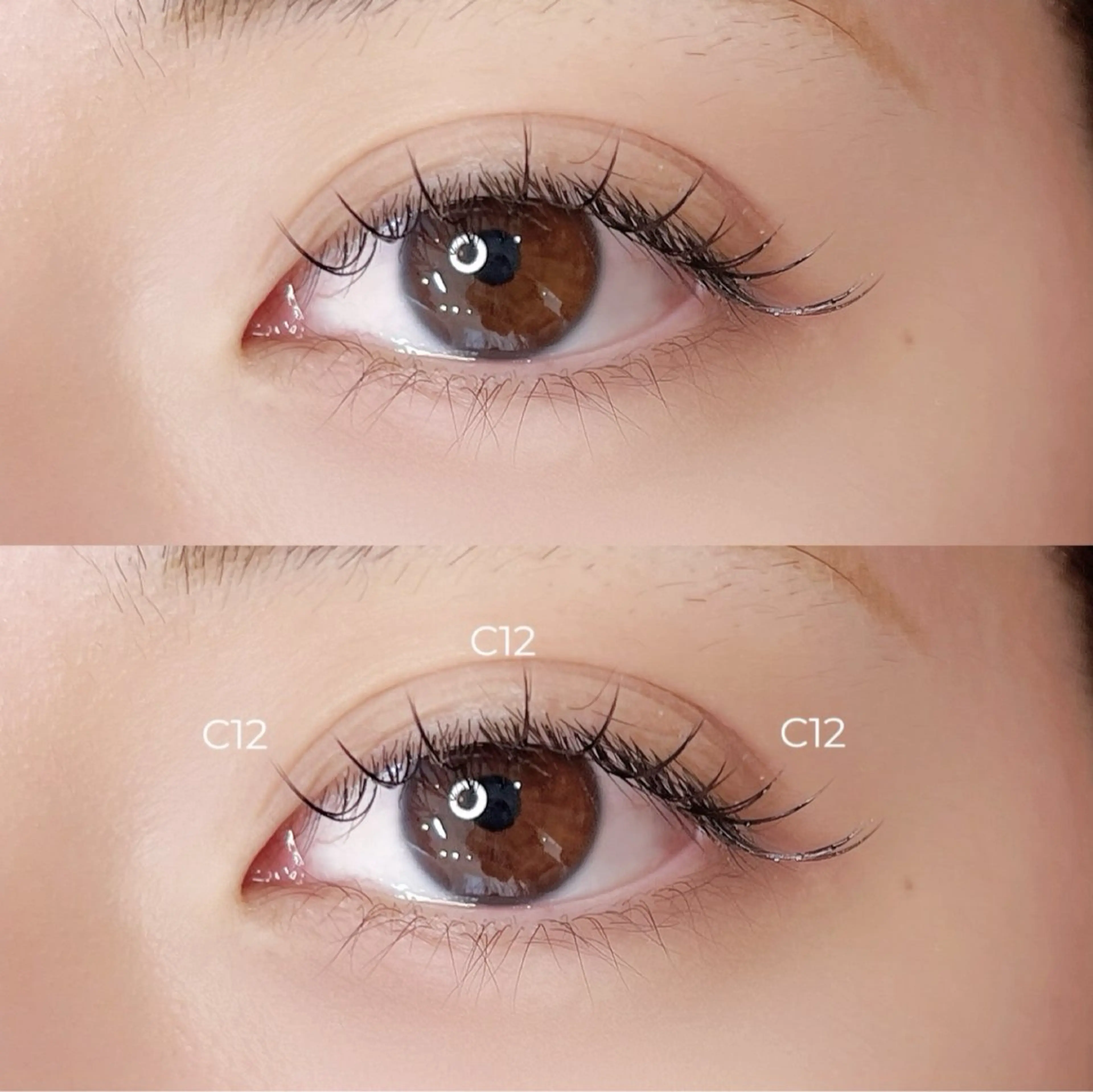 マツエク・マツパ NEST eye 🤍reinaのマツエク・マツパデザイン