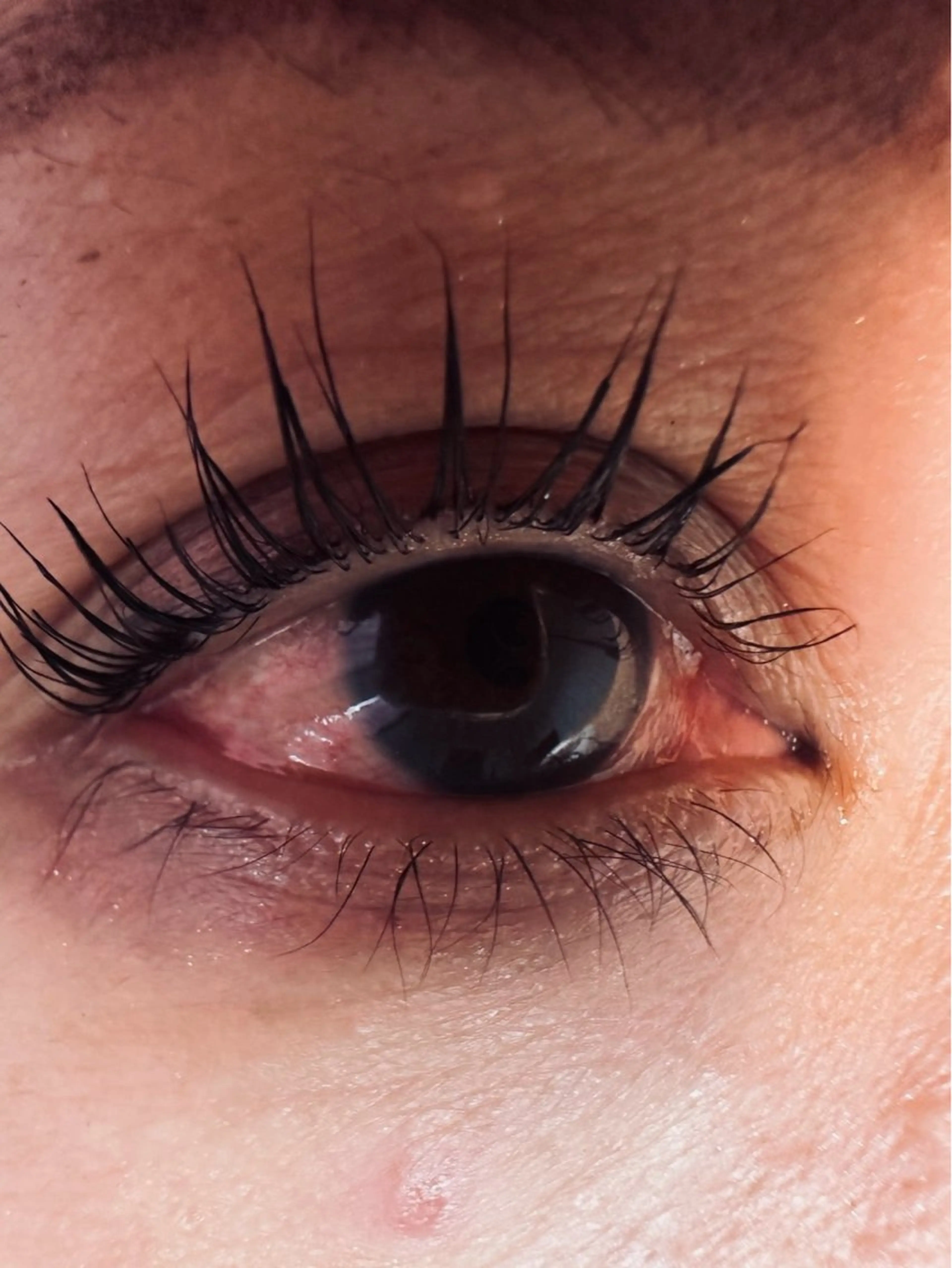 マツエク・マツパ ネイルtoまつげ sariiのマツエク・マツパデザイン