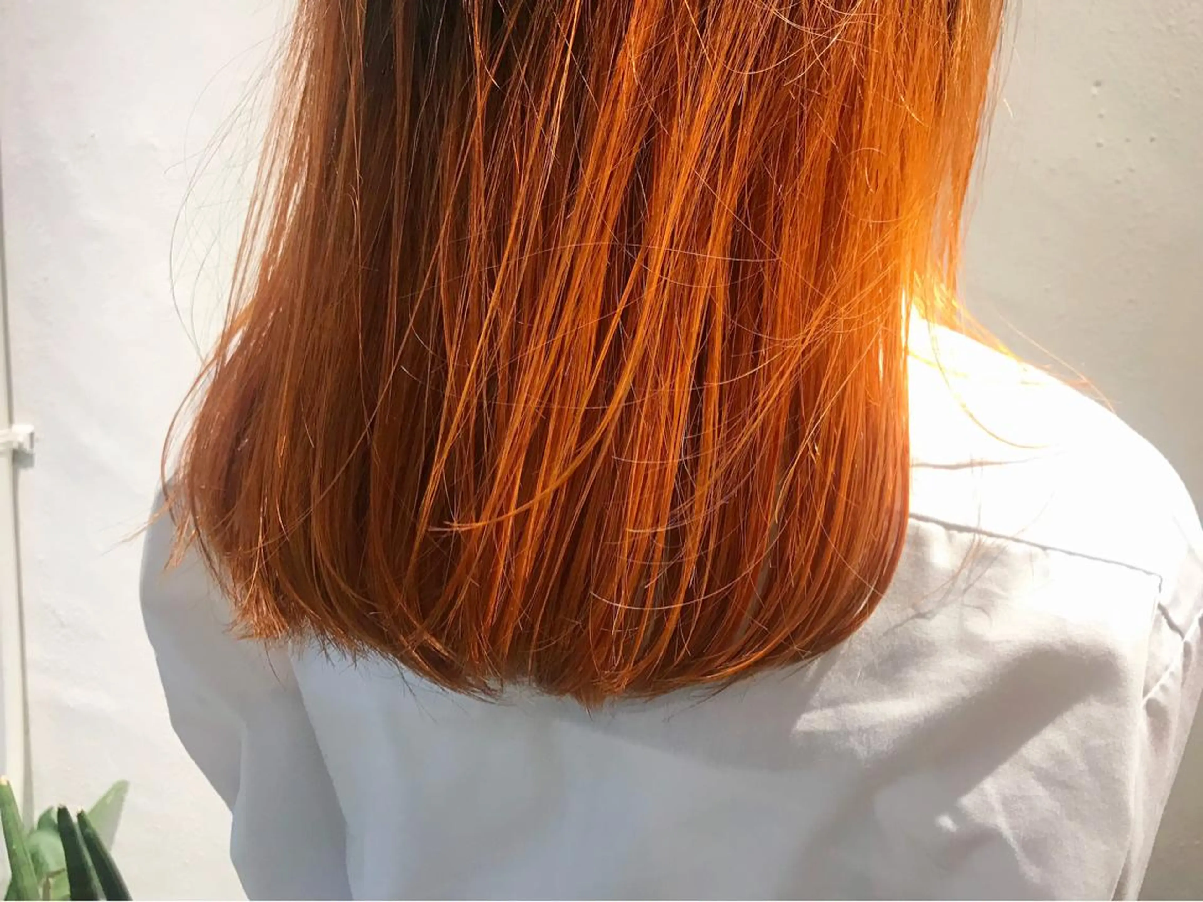 セミロング カラー グラデーションカラー カット ヘアカラー トリートメント 🧼柴田 健太郎🧼のヘアスタイル