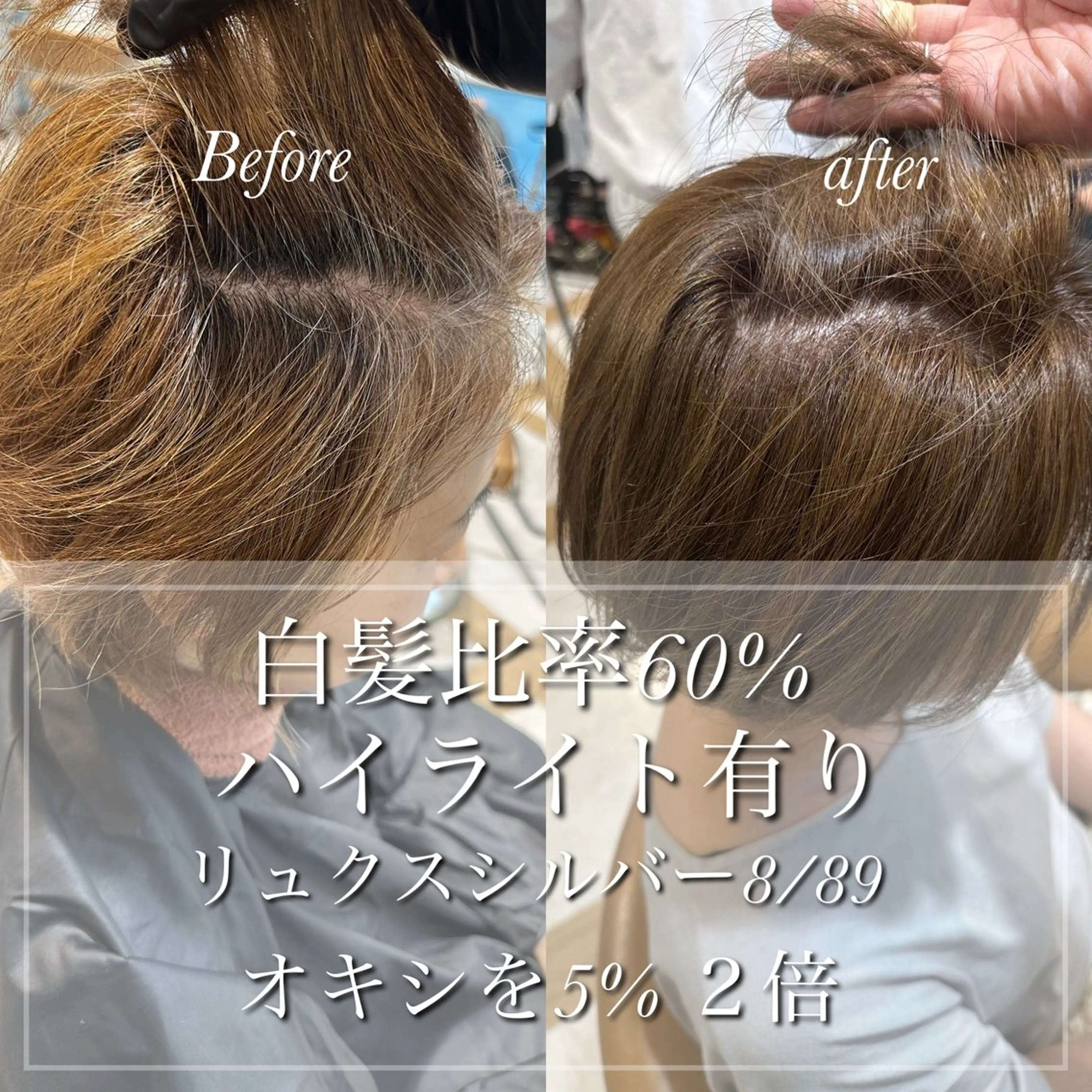 ショート カラー ハイライトカラー ハイライト カット ヘアカラー トリートメント lond strada所属・🌟モテ髪ショート 🌟店長　津賀涼のヘアスタイル