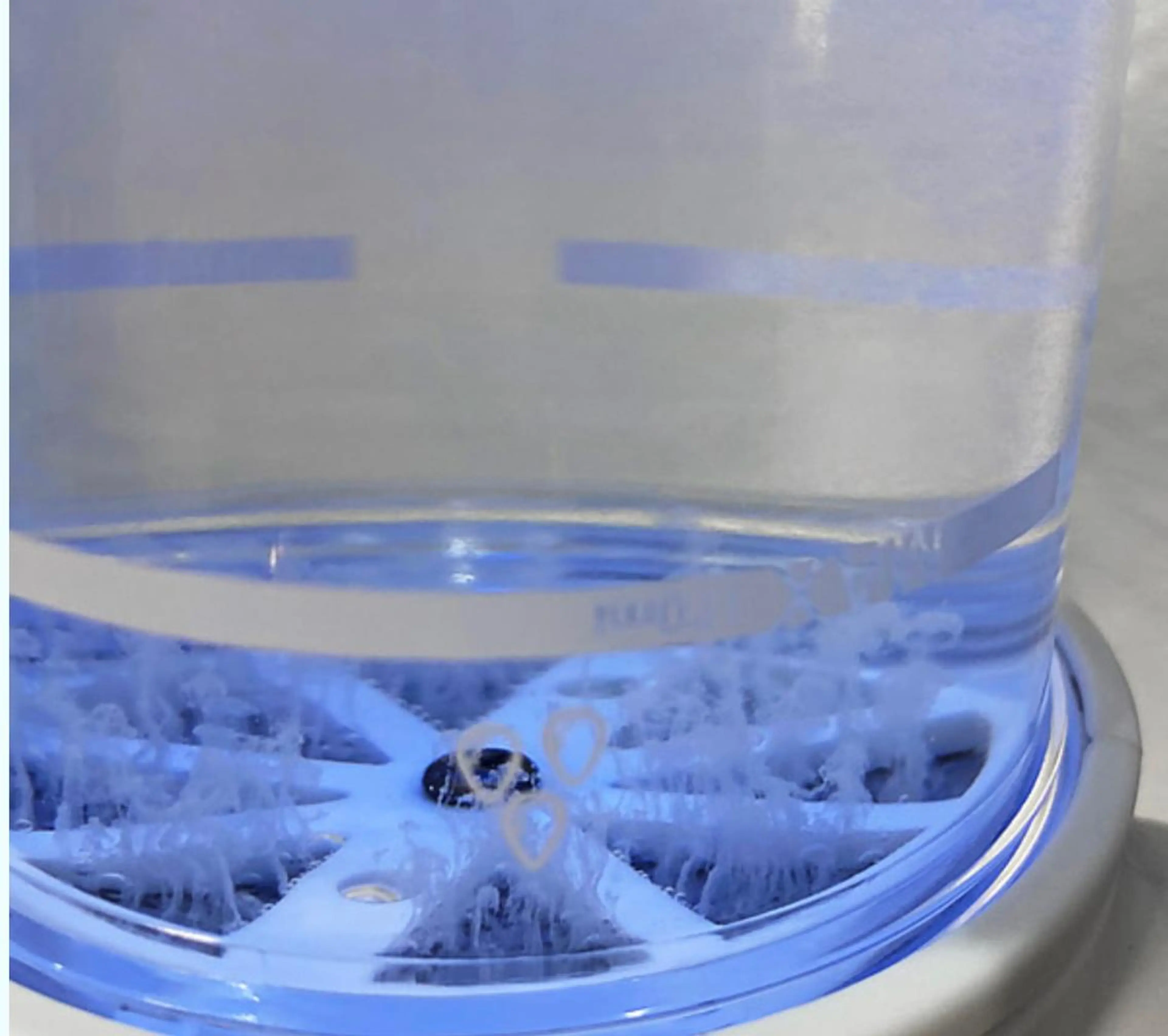 Chalon所属・REVI取扱・肌悩み 毛穴Chalonのエステ・リラクイメージ