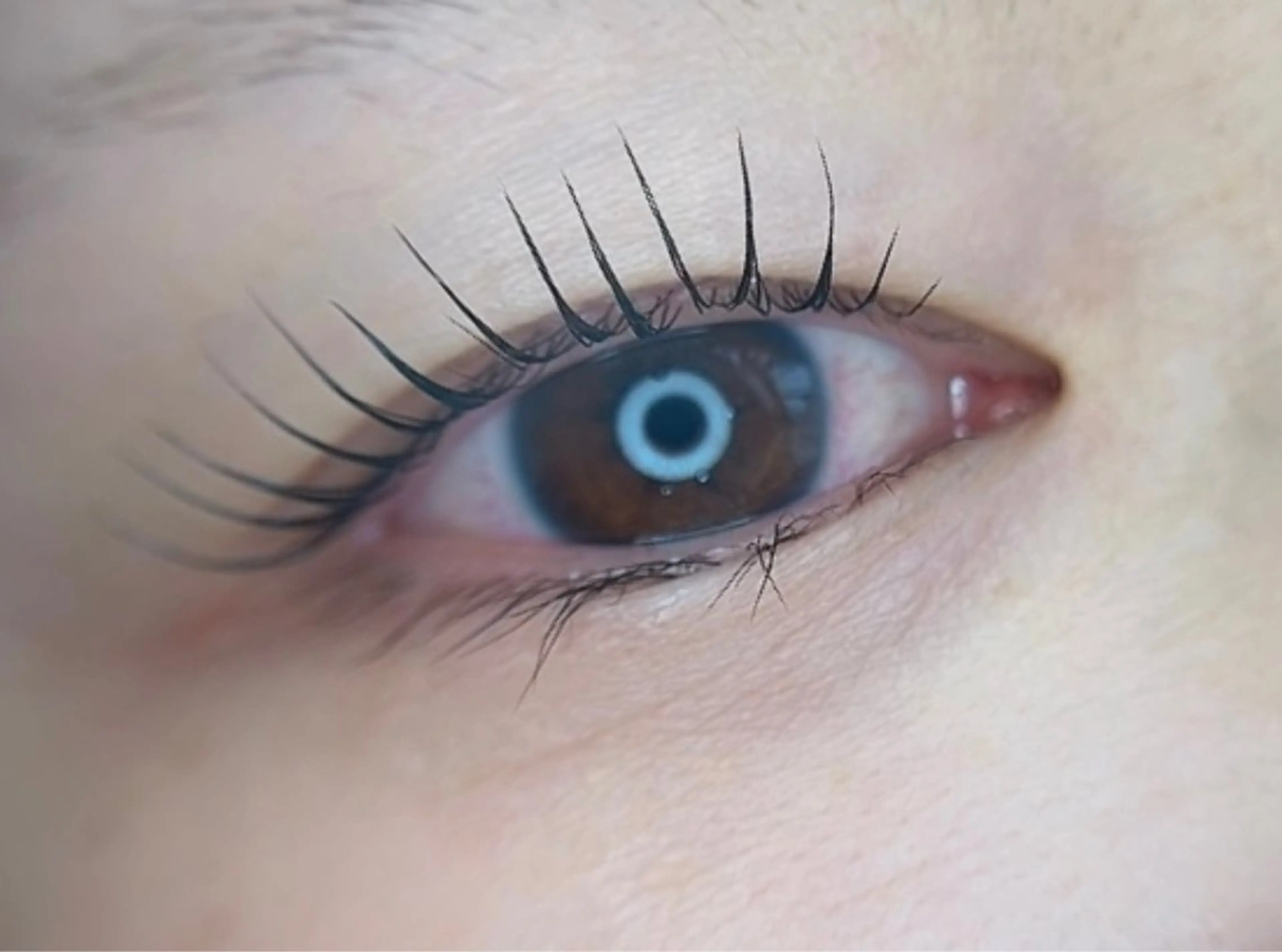 キッズ マツエク・マツパ un par un アンパルアン所属・un par unの眉毛・アイブロウイメージ