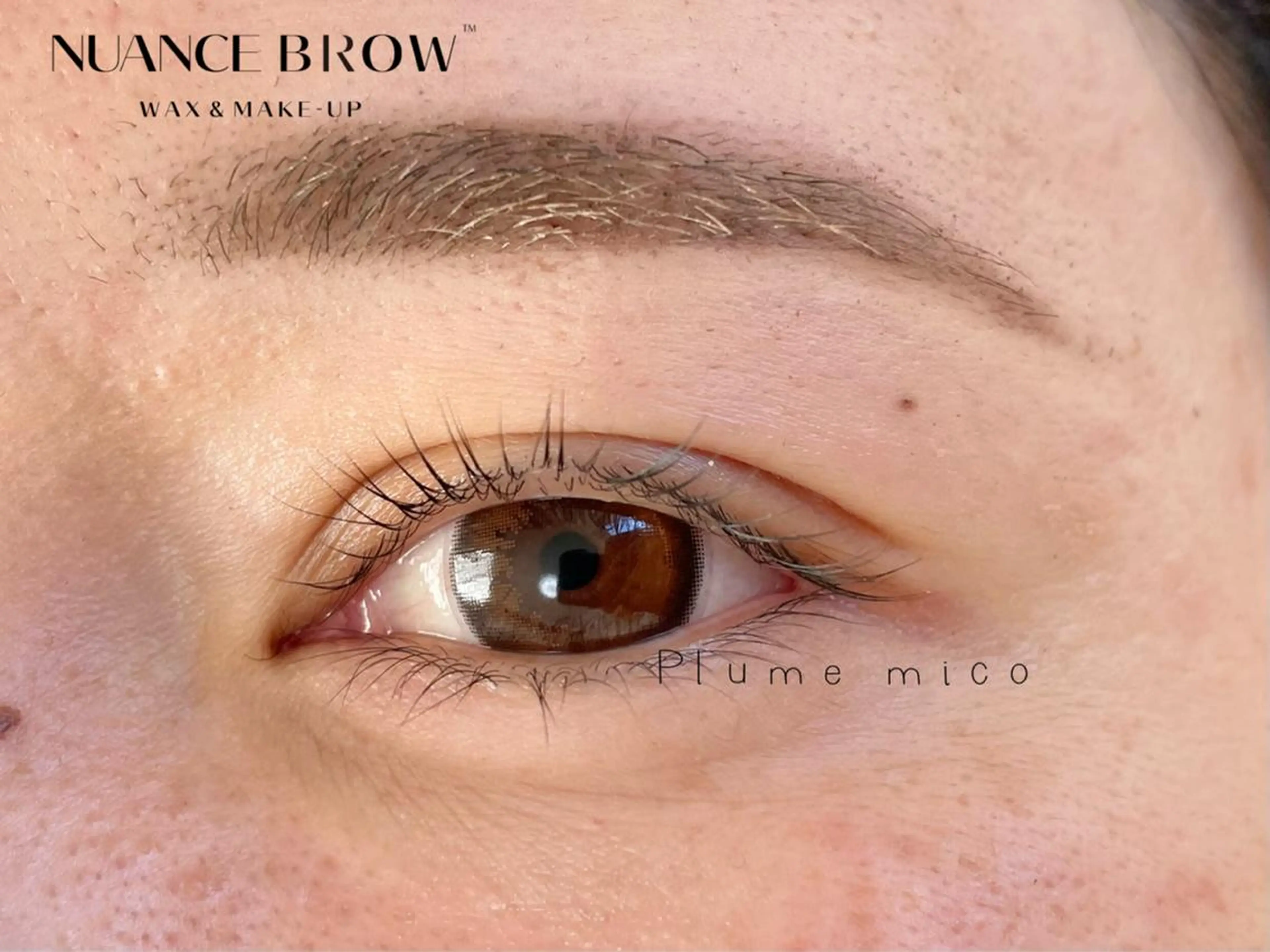 アイブロウ ワックス脱毛 Plume micoのマツエク・マツパデザイン
