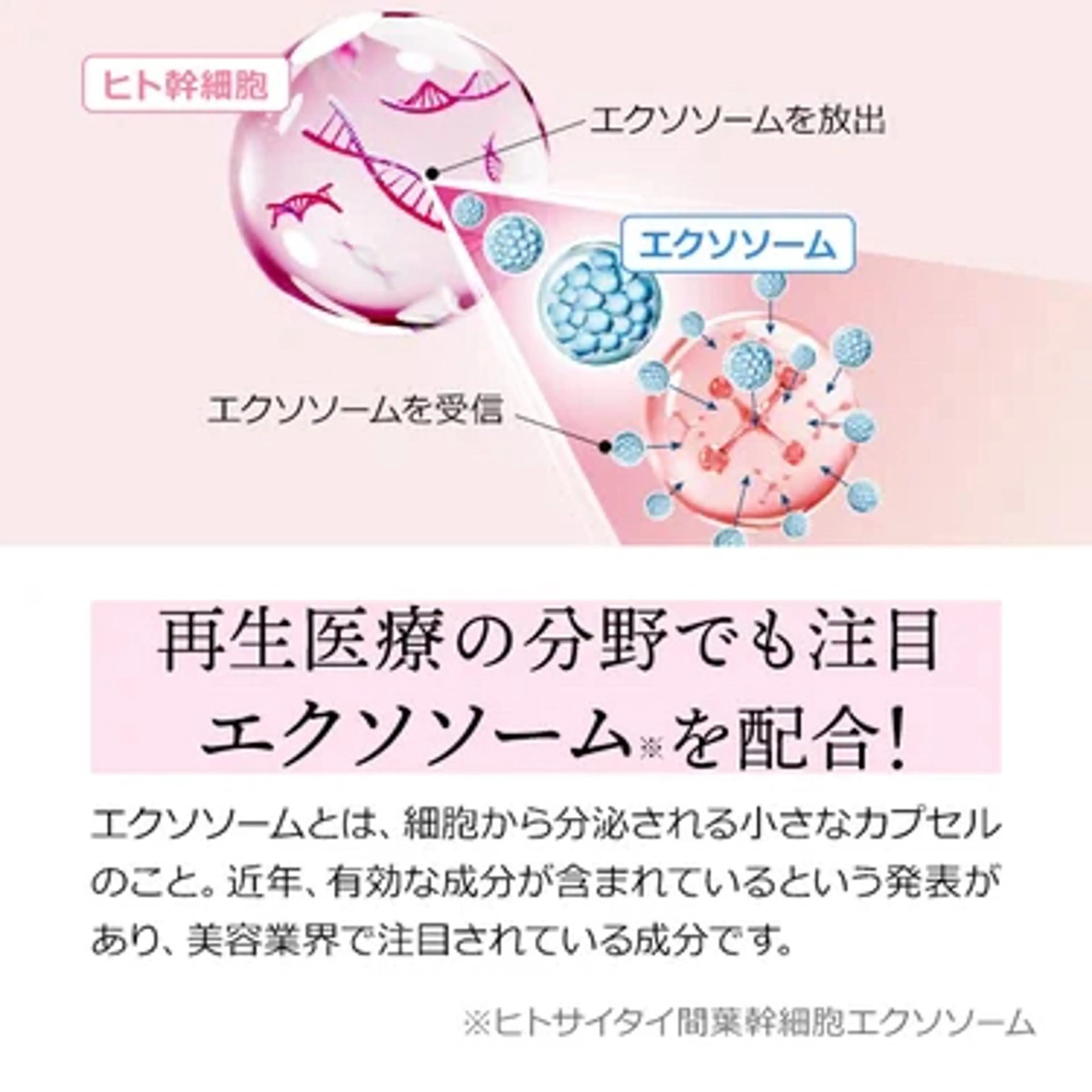 肌育×小顔×毛穴洗浄 ナスサロ 看護師只野のエステ・リラクイメージ