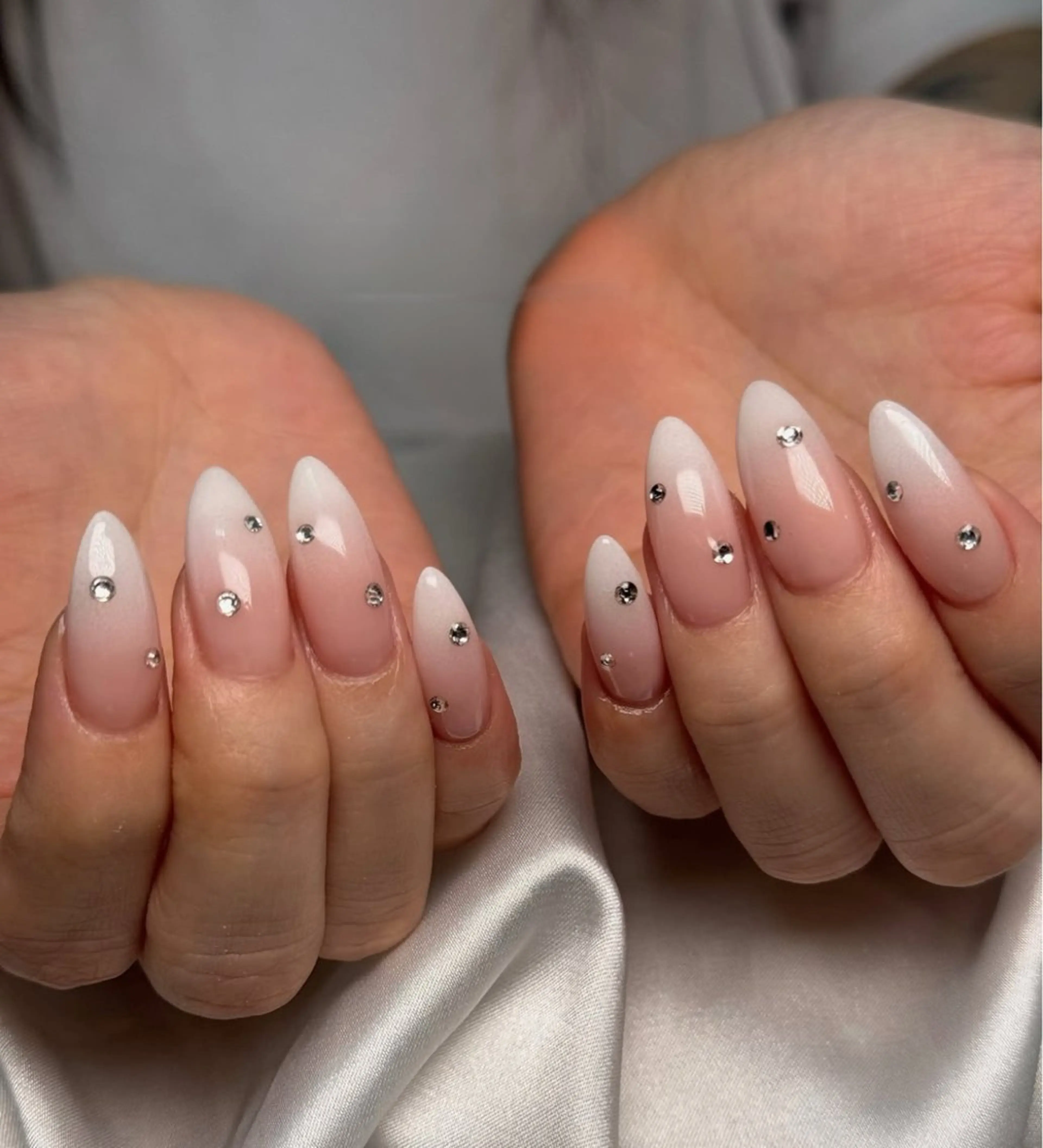 ネイル アニマル柄 オーロラネイル チークネイル フラッシュネイル ジェルネイル ハンドネイル T.A Nail Salon所属・Lyna Nail のネイルデザイン