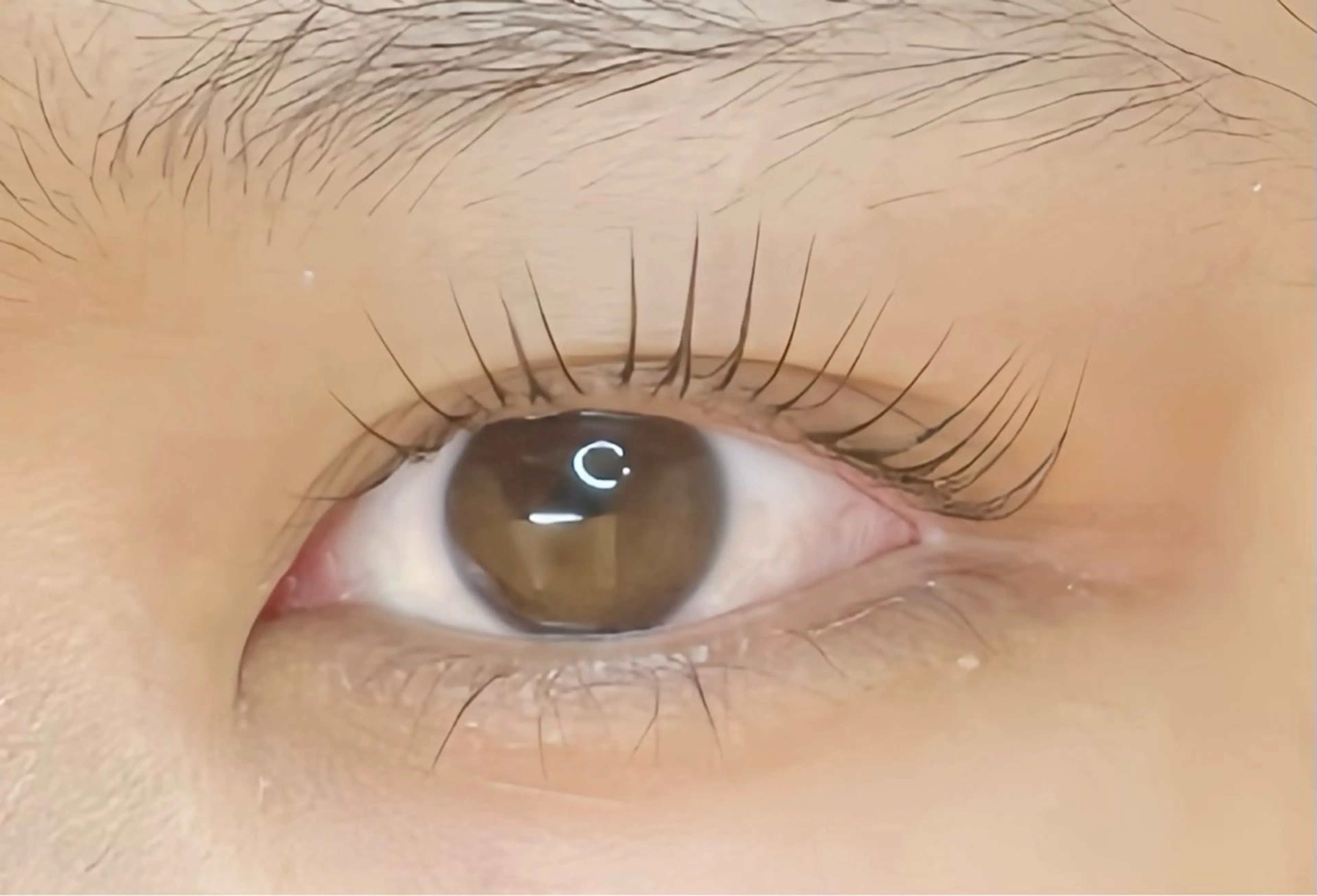 ❤︎パリジェンヌラッシュリフト❤︎トリートメント&コーティング付の写真