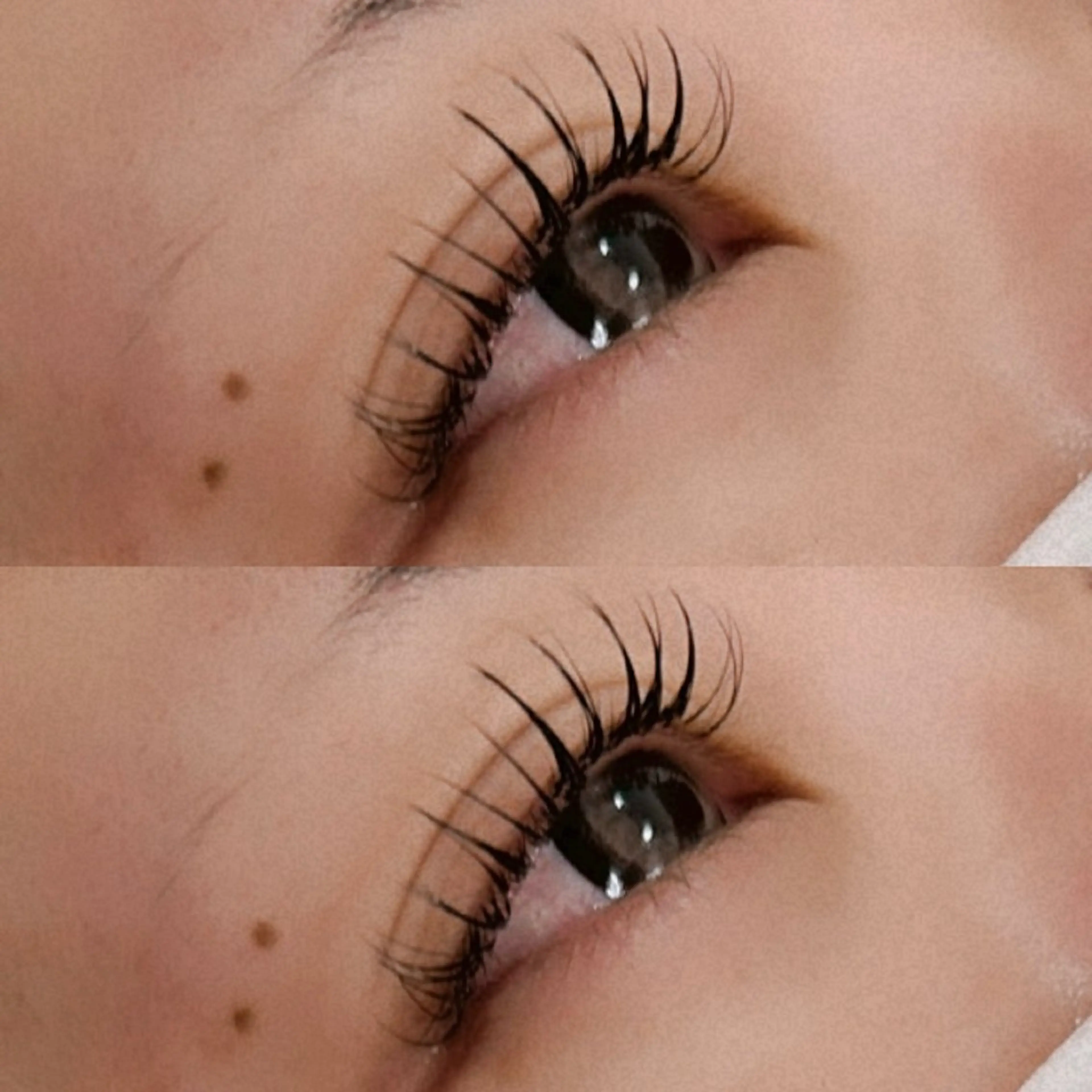 マツエク・マツパ マツエク Blossom 松木のマツエク・マツパデザイン