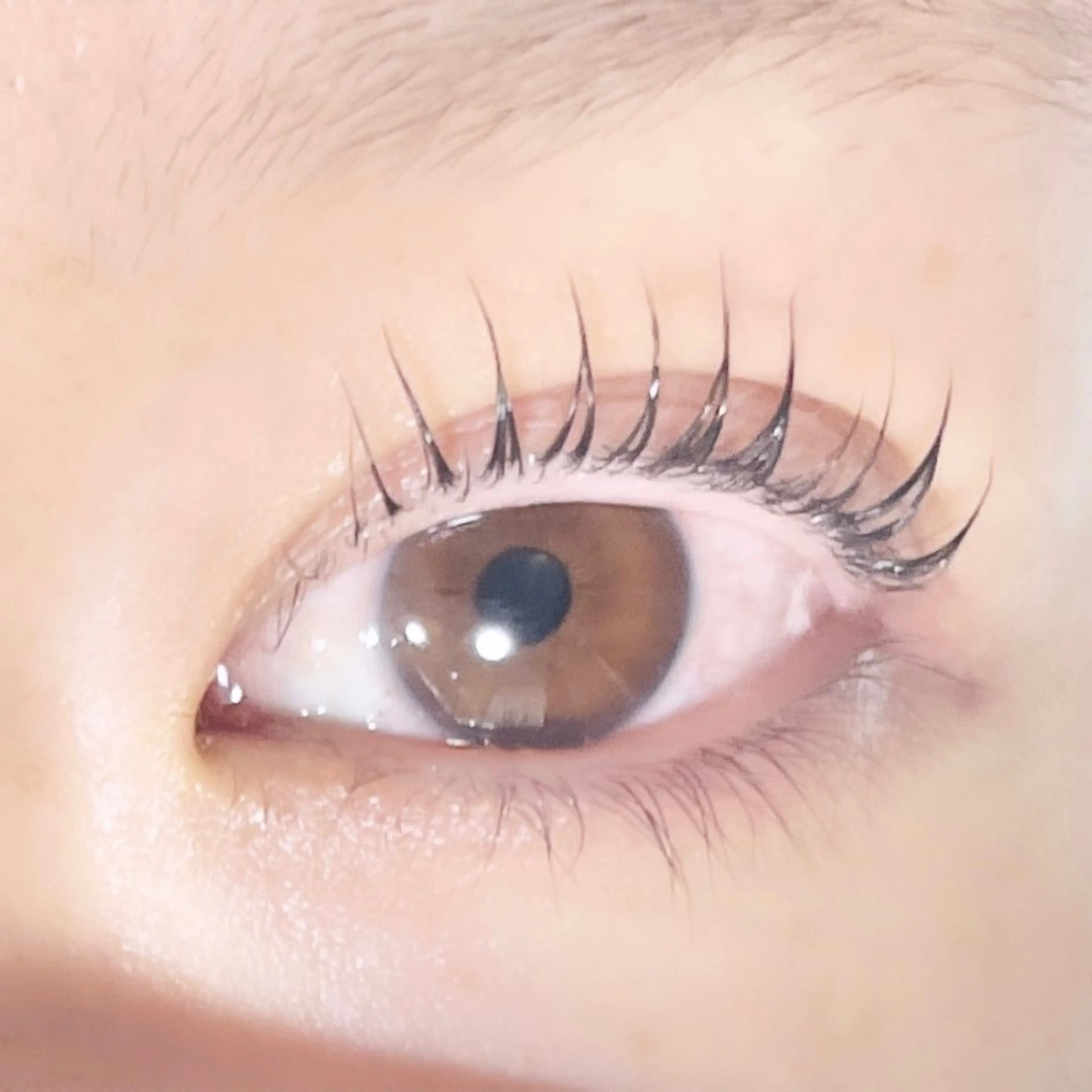 マツエク・マツパ TAKEO🖤 マリーテレジア藤が丘のマツエク・マツパデザイン