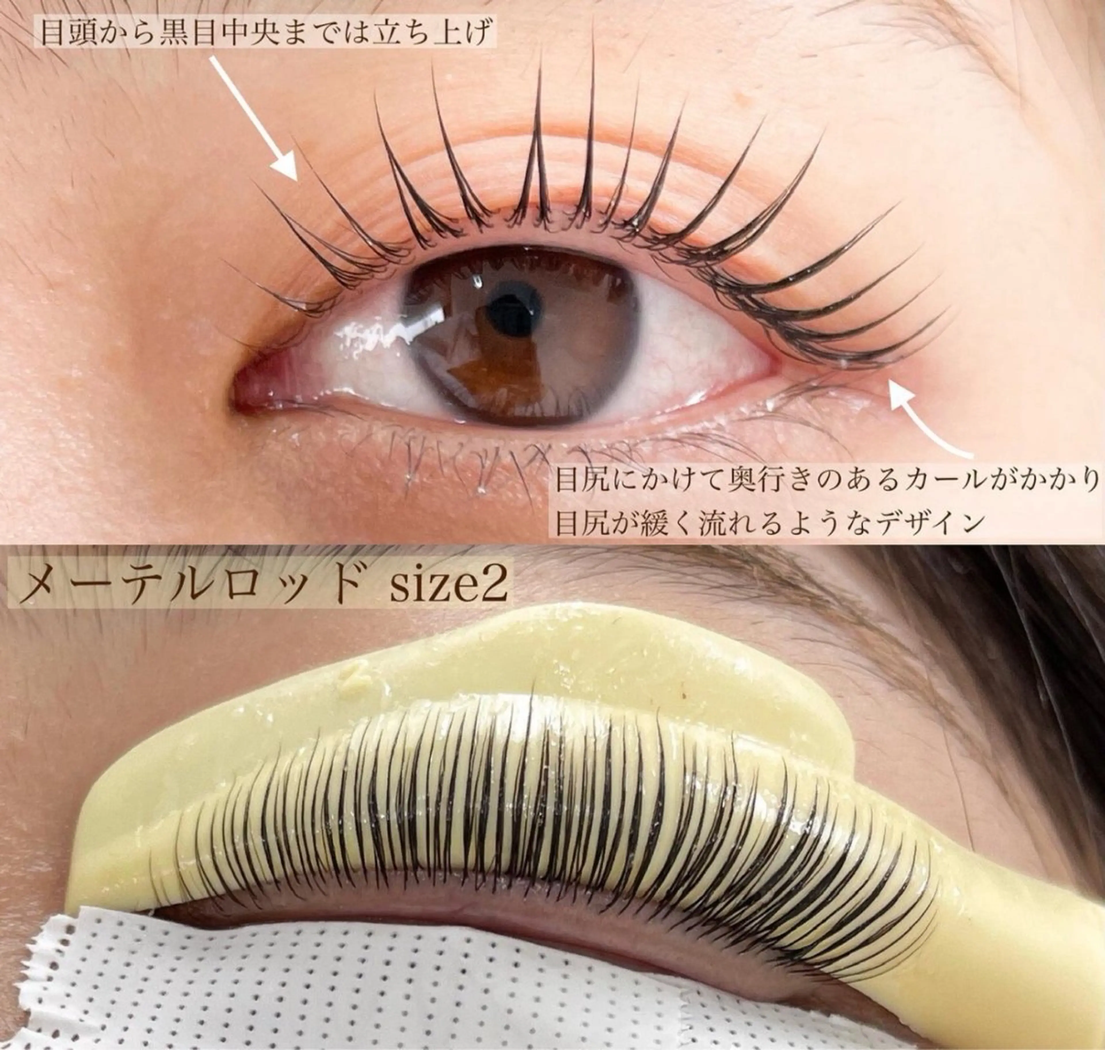 メーテルロッド【上】/コーティング付き￥3800の写真