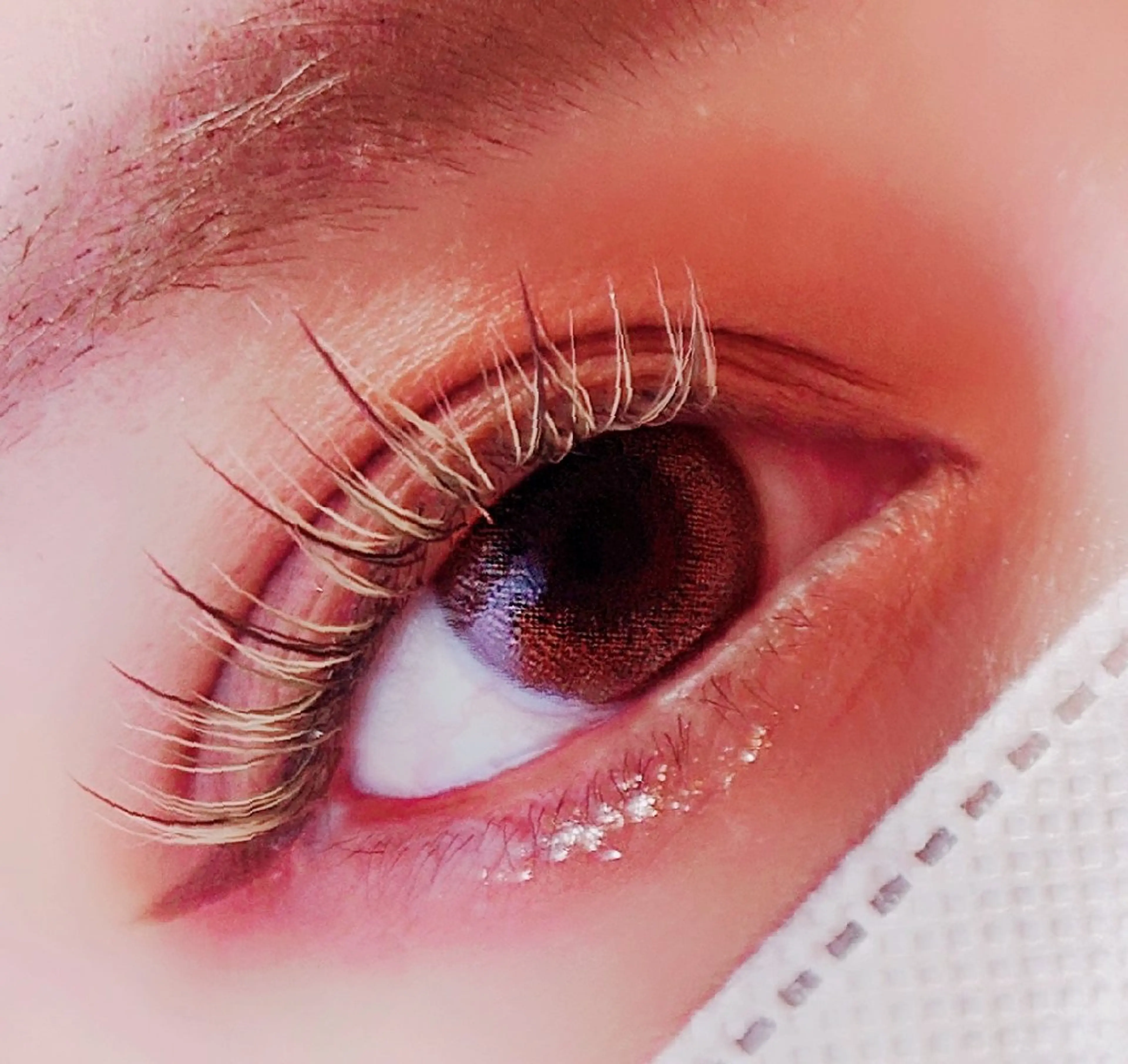 マツエク・マツパ ワンホンマツエク マツエク Total Salon Vonita（トータルサロンヴォニータ）所属・Vonita  Kuriharaの眉毛・アイブロウイメージ
