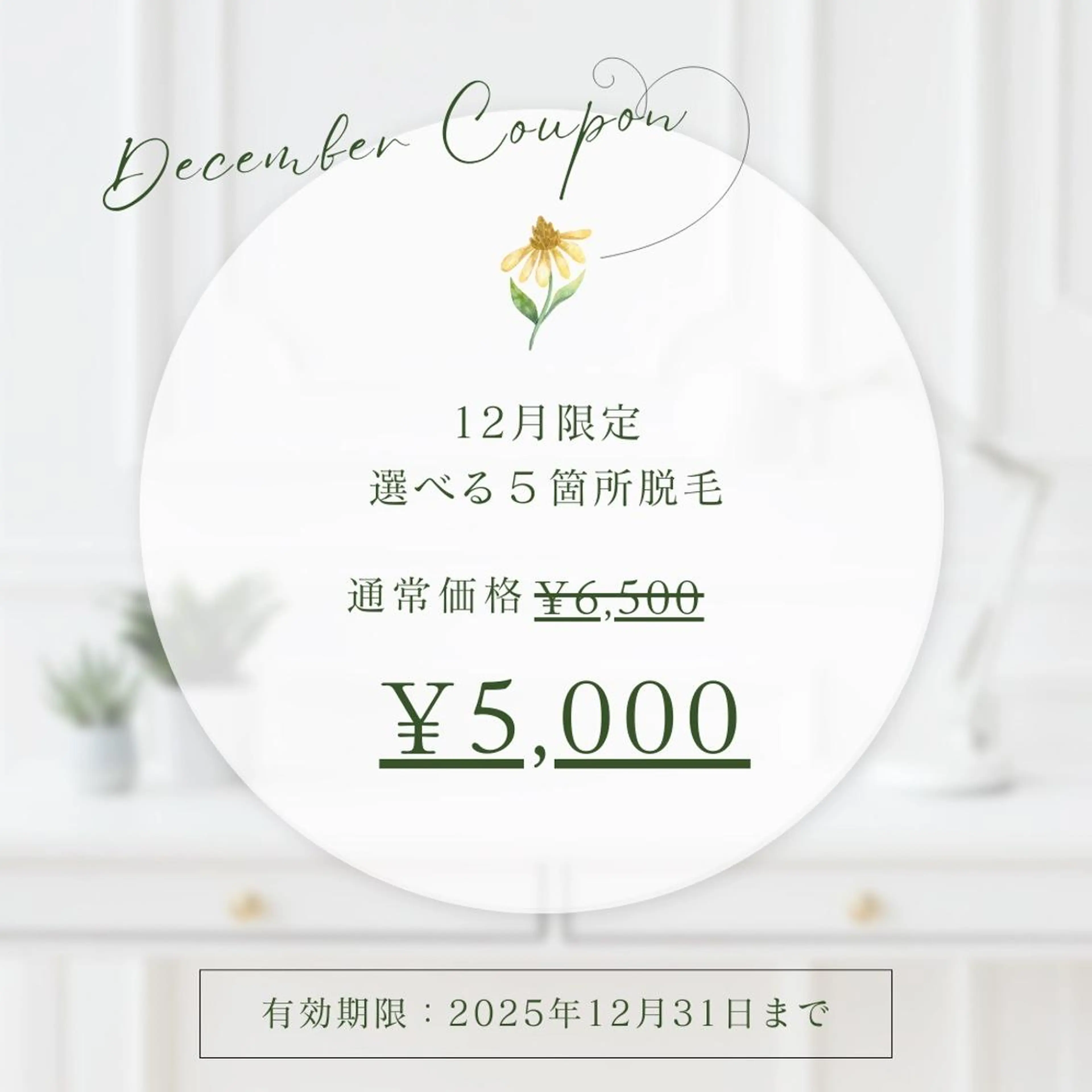 12月限定クーポン【5ヶ所光脱毛1回\5,000】♪の写真