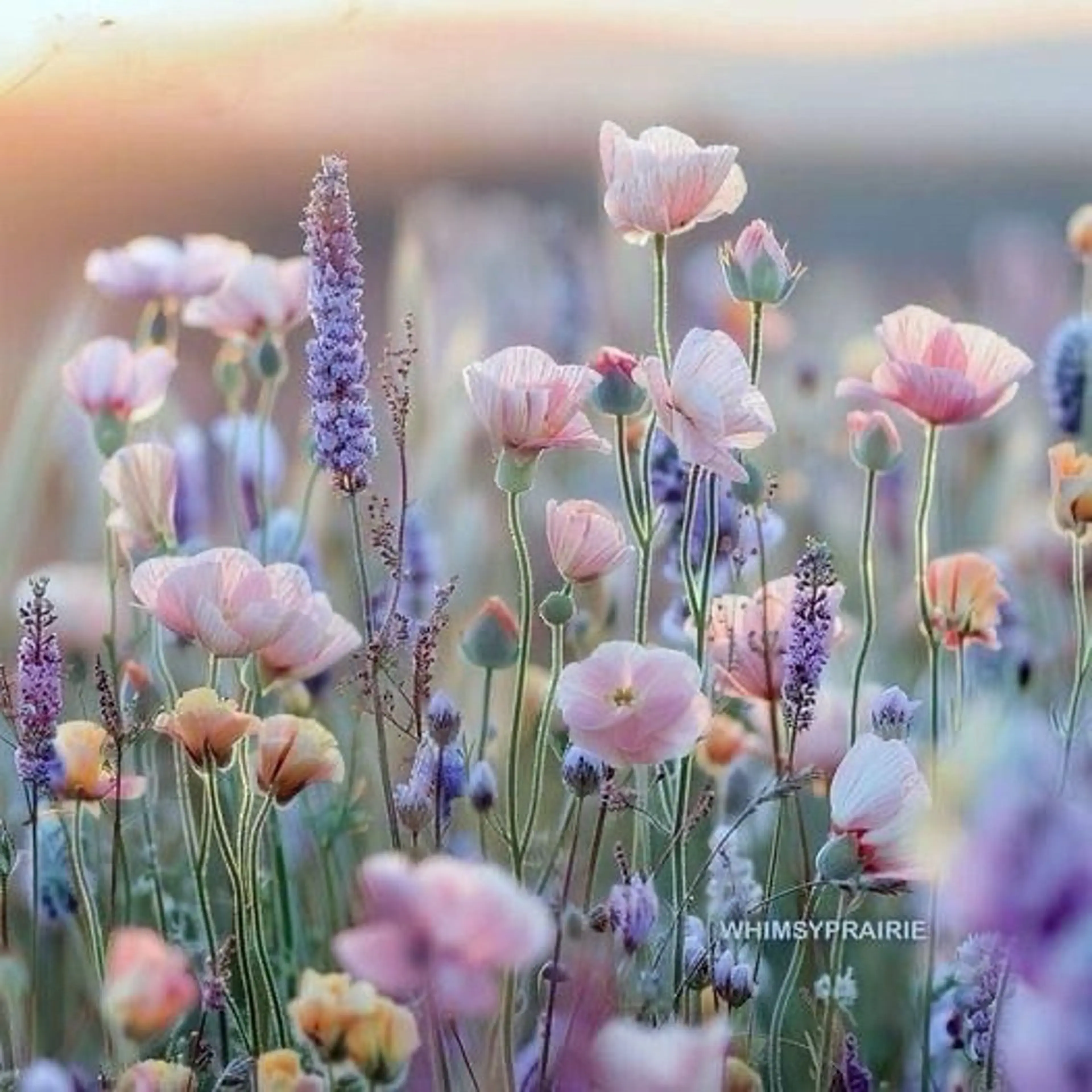 ネイル asuka 🐰のネイルデザイン