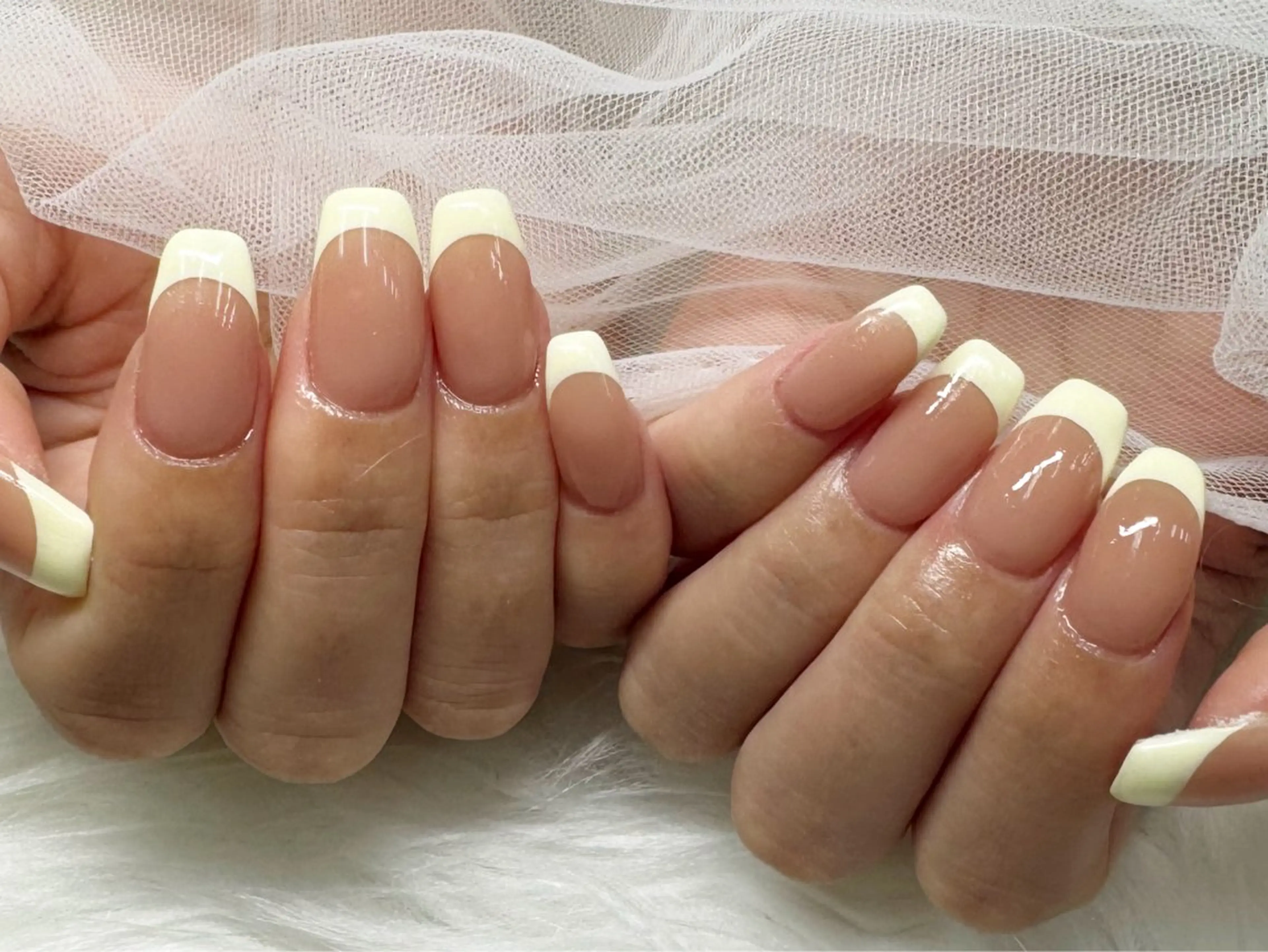 フレンチの写真