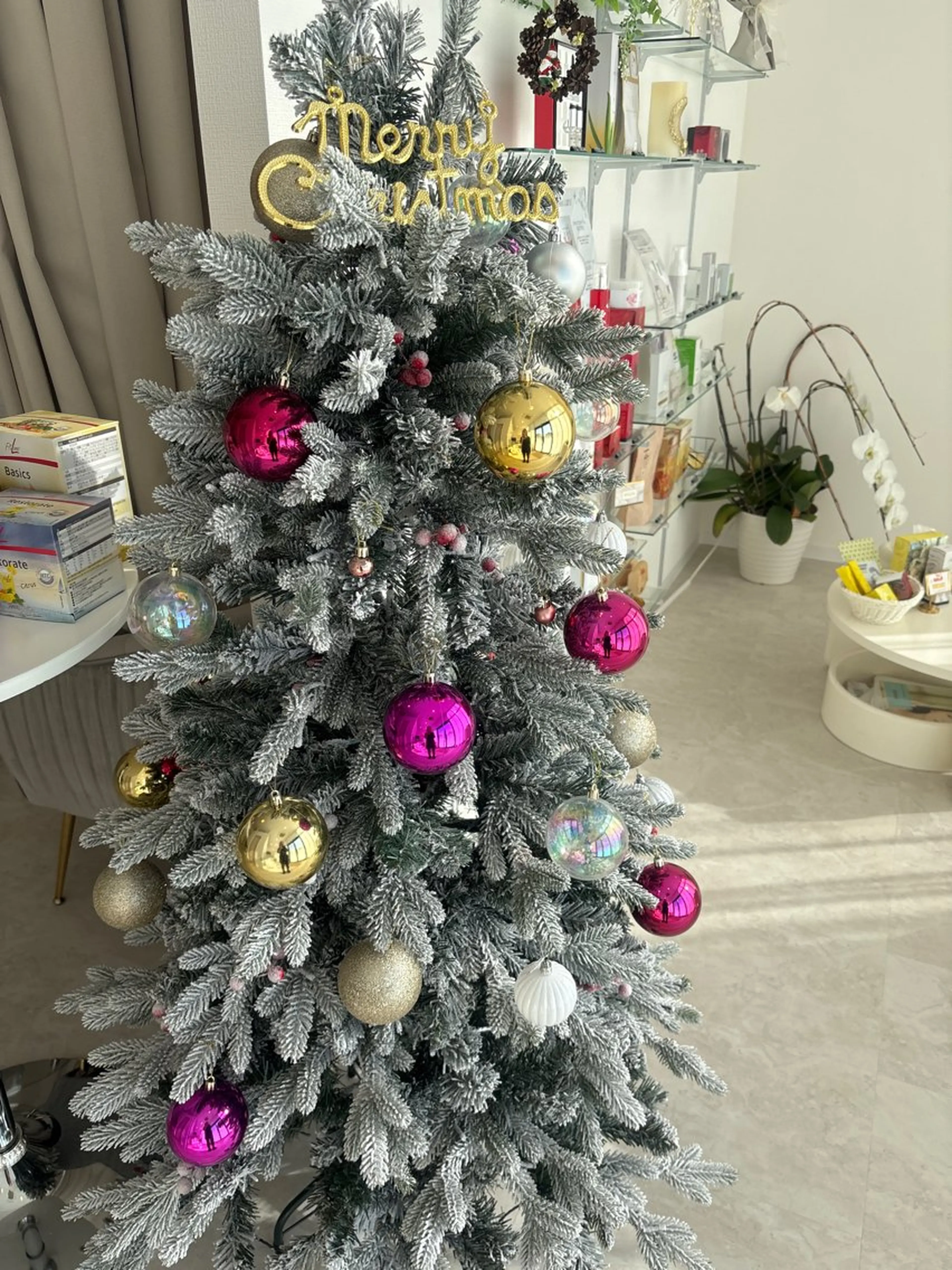 12月限定🎄 痛みの少ない【レディースVIO脱毛】 ハイブリッド脱毛器使用🐝࿆の写真