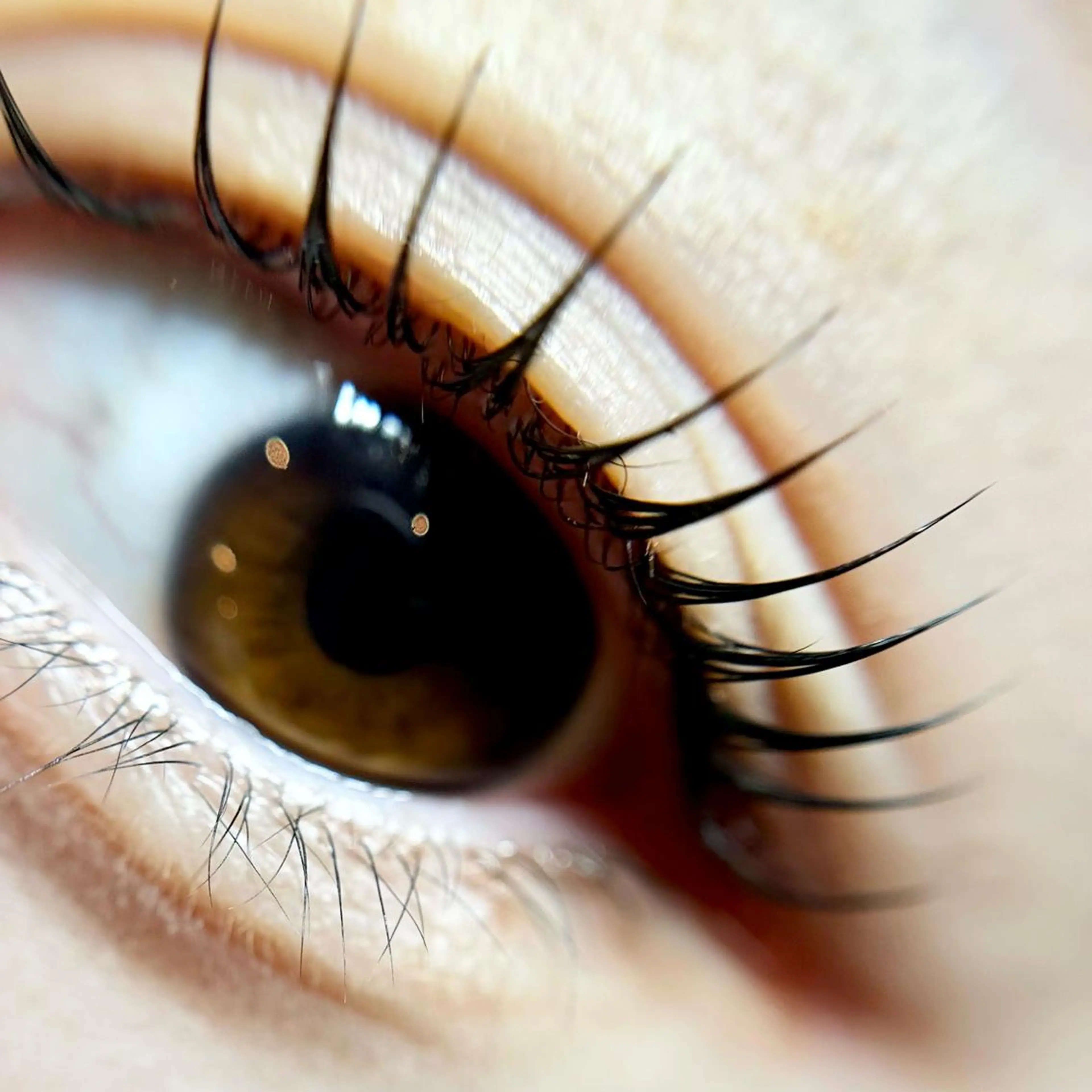 マツエク・マツパ komatsu eyelash恵比寿のマツエク・マツパデザイン