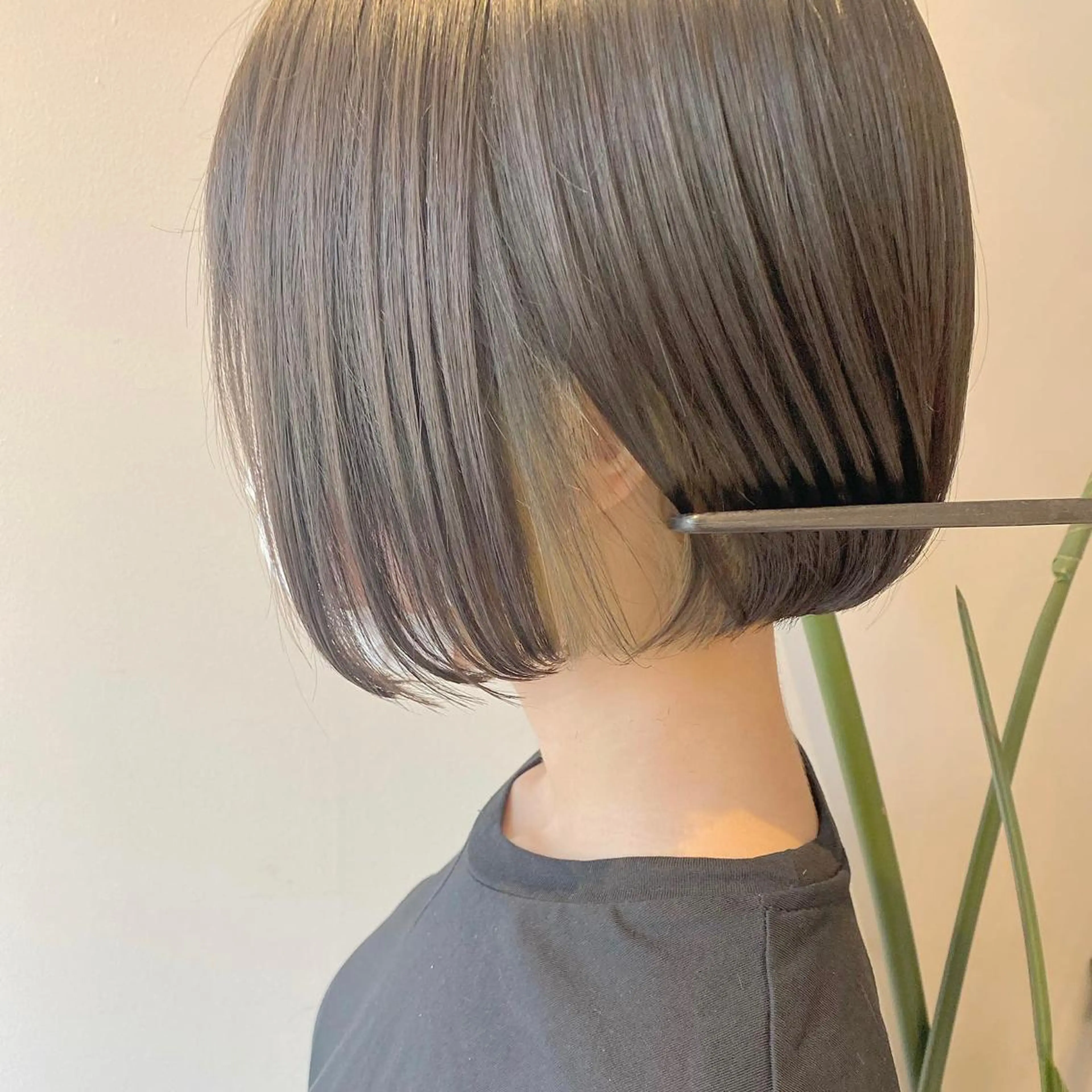 ショート カラー カット ヘアカラー トリートメント ボブ韓国風レイヤー 錦糸町/畠中ケントのヘアスタイル