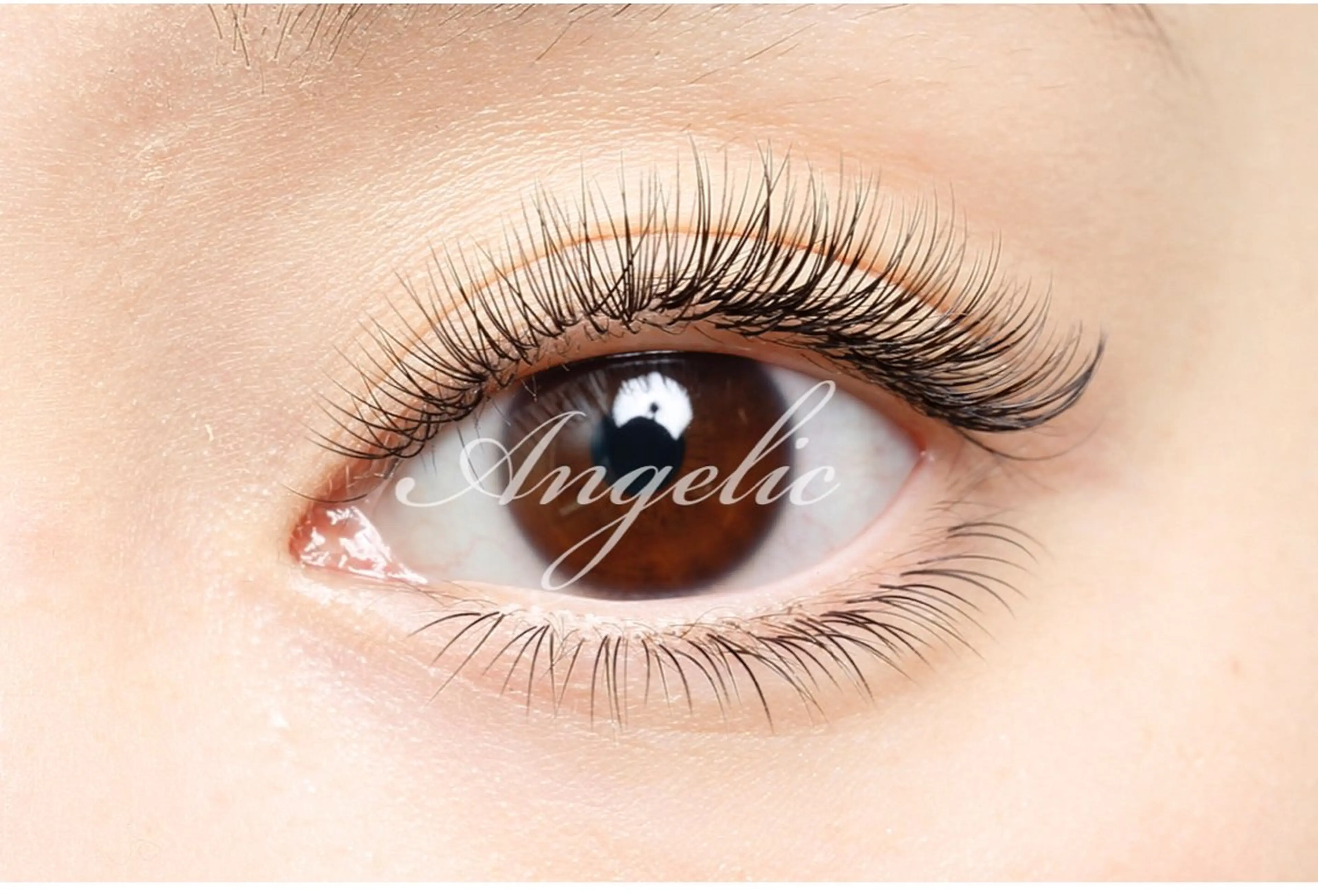 ⭐️120本　（オフあり）⭐️の写真