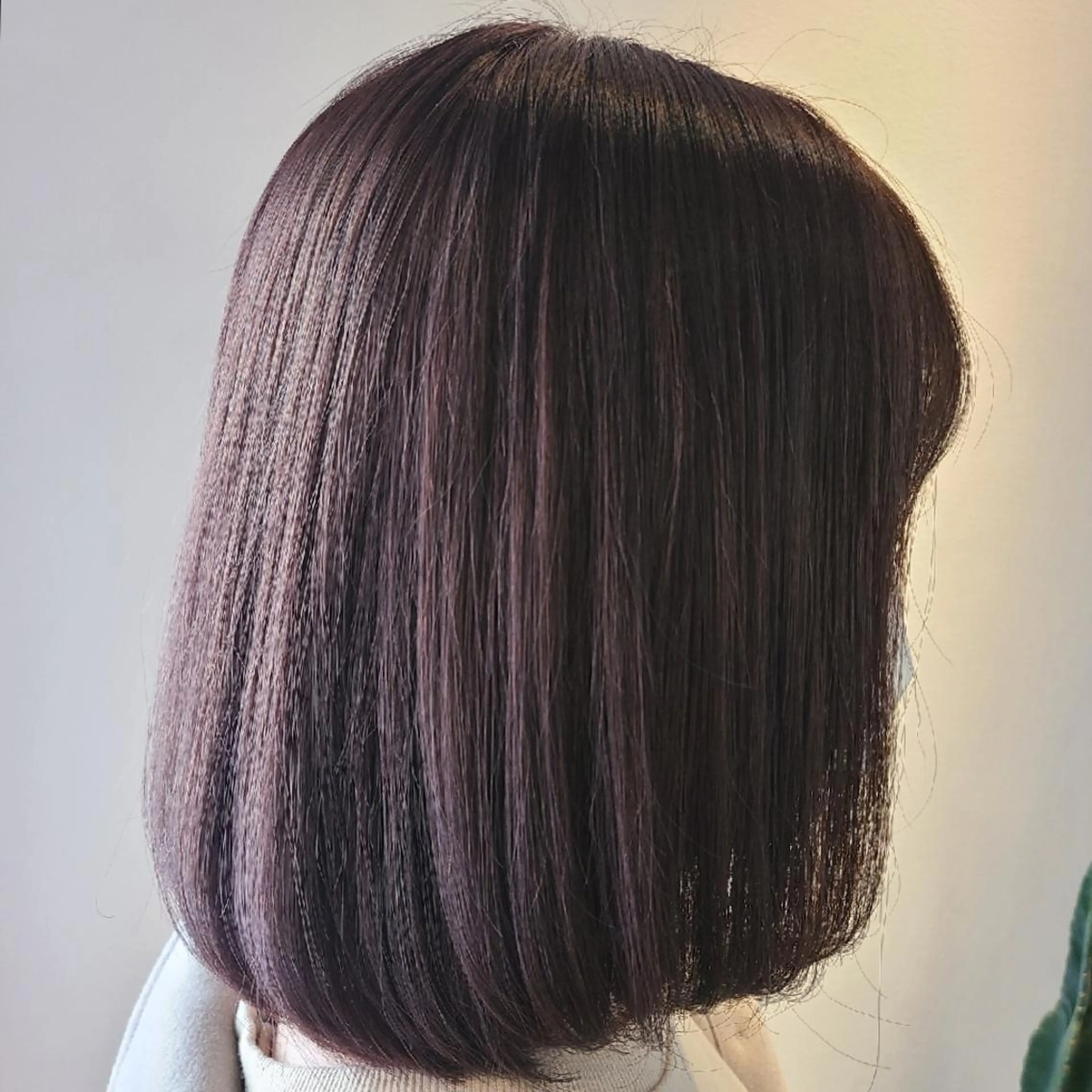 ミディアム アッシュ カット ヘアカラー トリートメント カヤノ ミサキ𓇼𓆉 のヘアスタイル