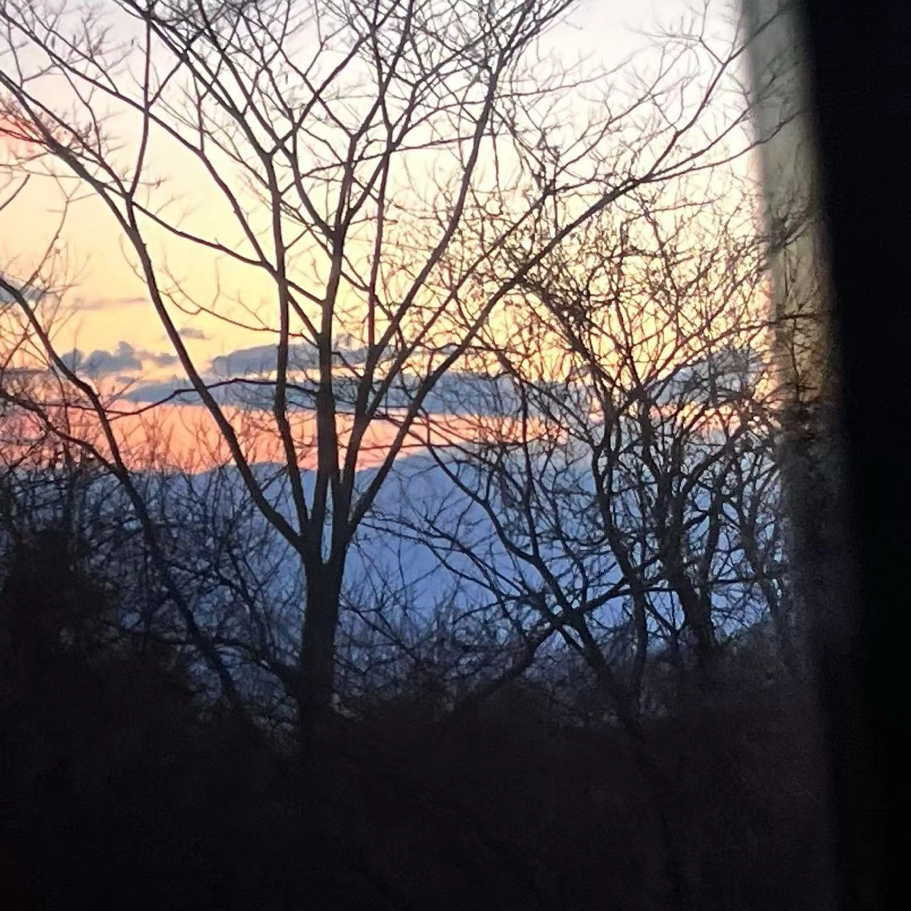 ハイトーン/レイヤー /艶カラー🎀のヘアスタイル