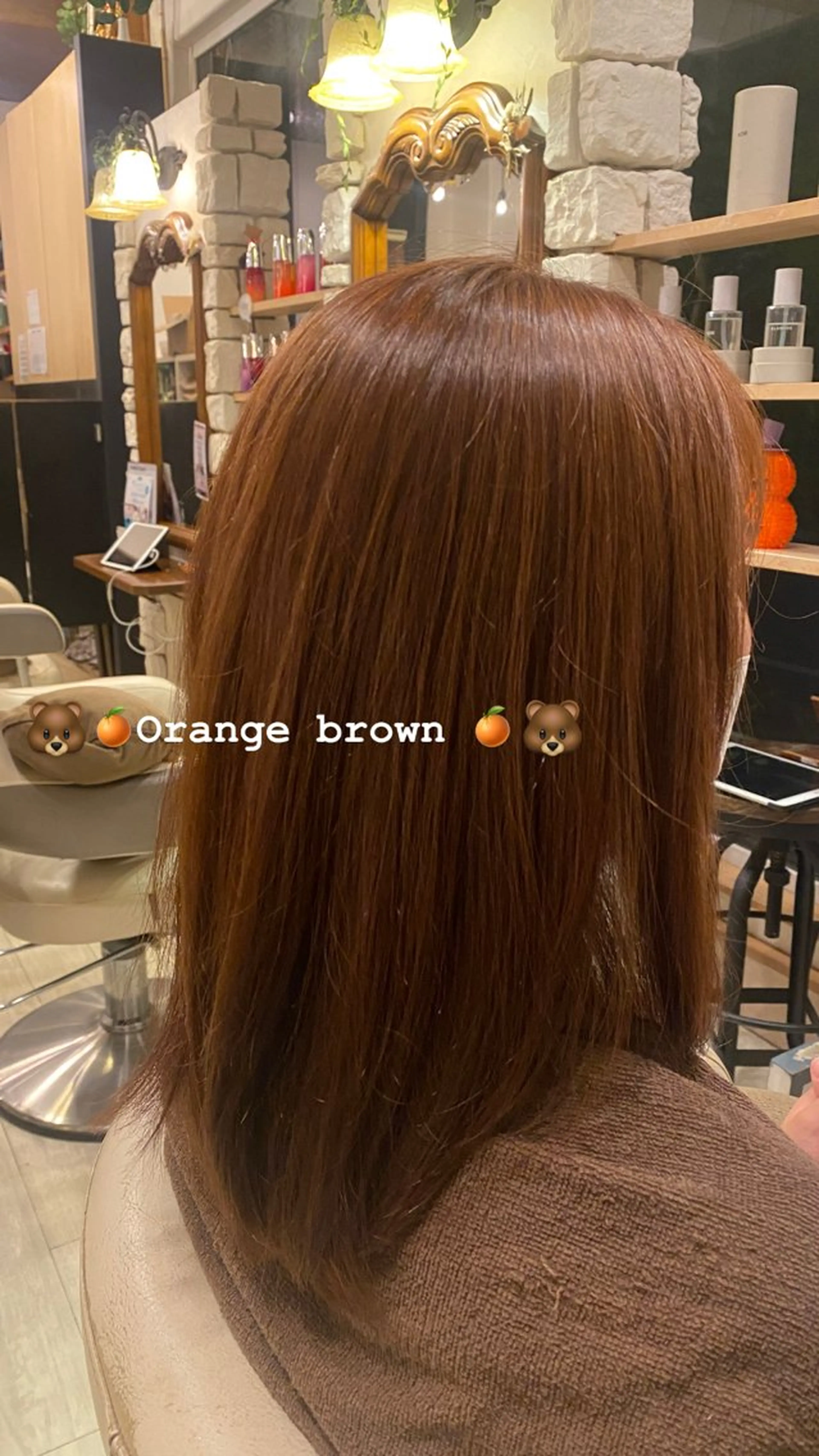 ミディアム カラー ブラウンカラー Lita Hair 🪼vanessaのヘアスタイル