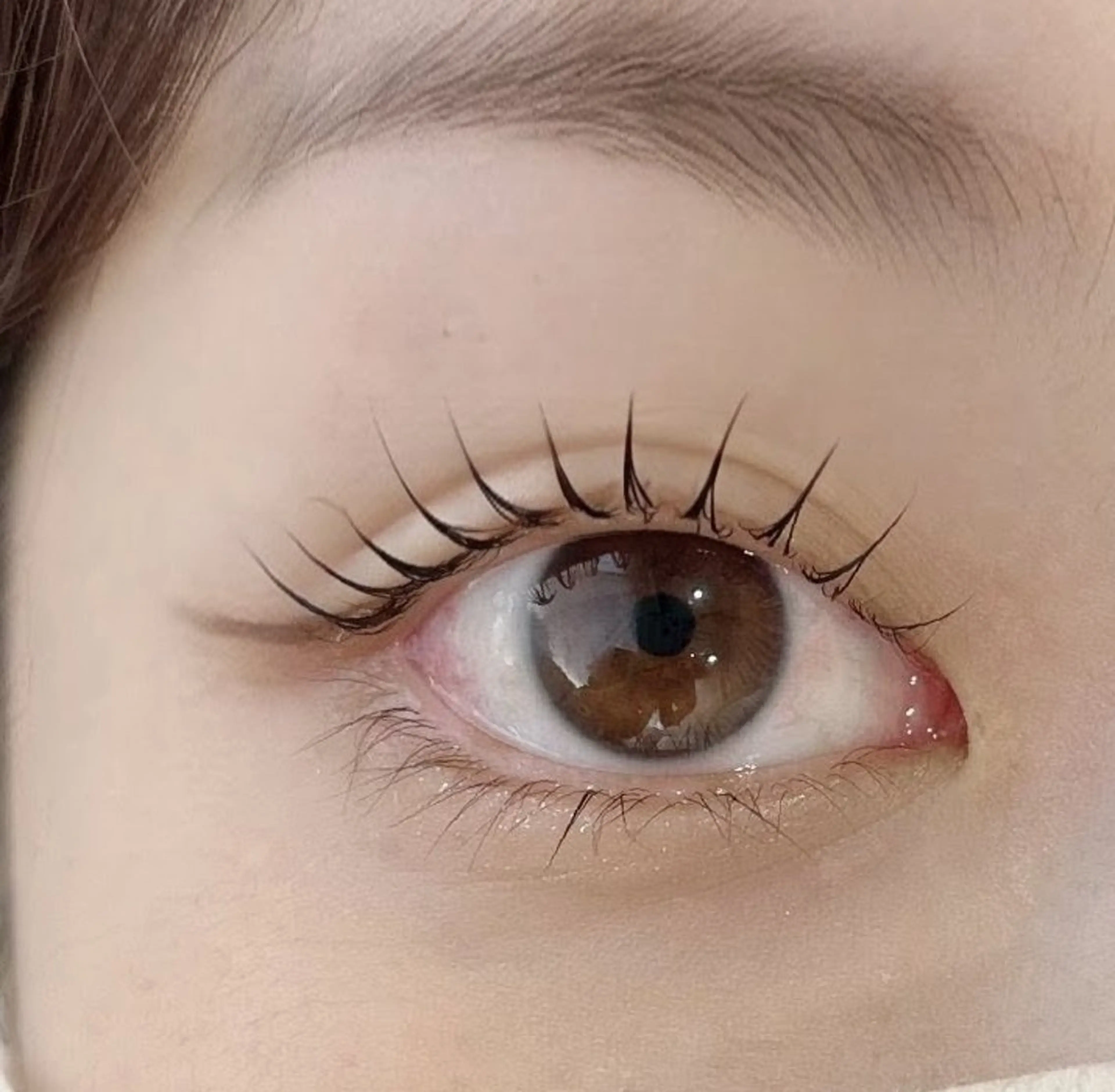 【♥️登録の方限定♡韓国✨束感まつげ】つけまつげメイク※他のメニューに追加も可能の写真