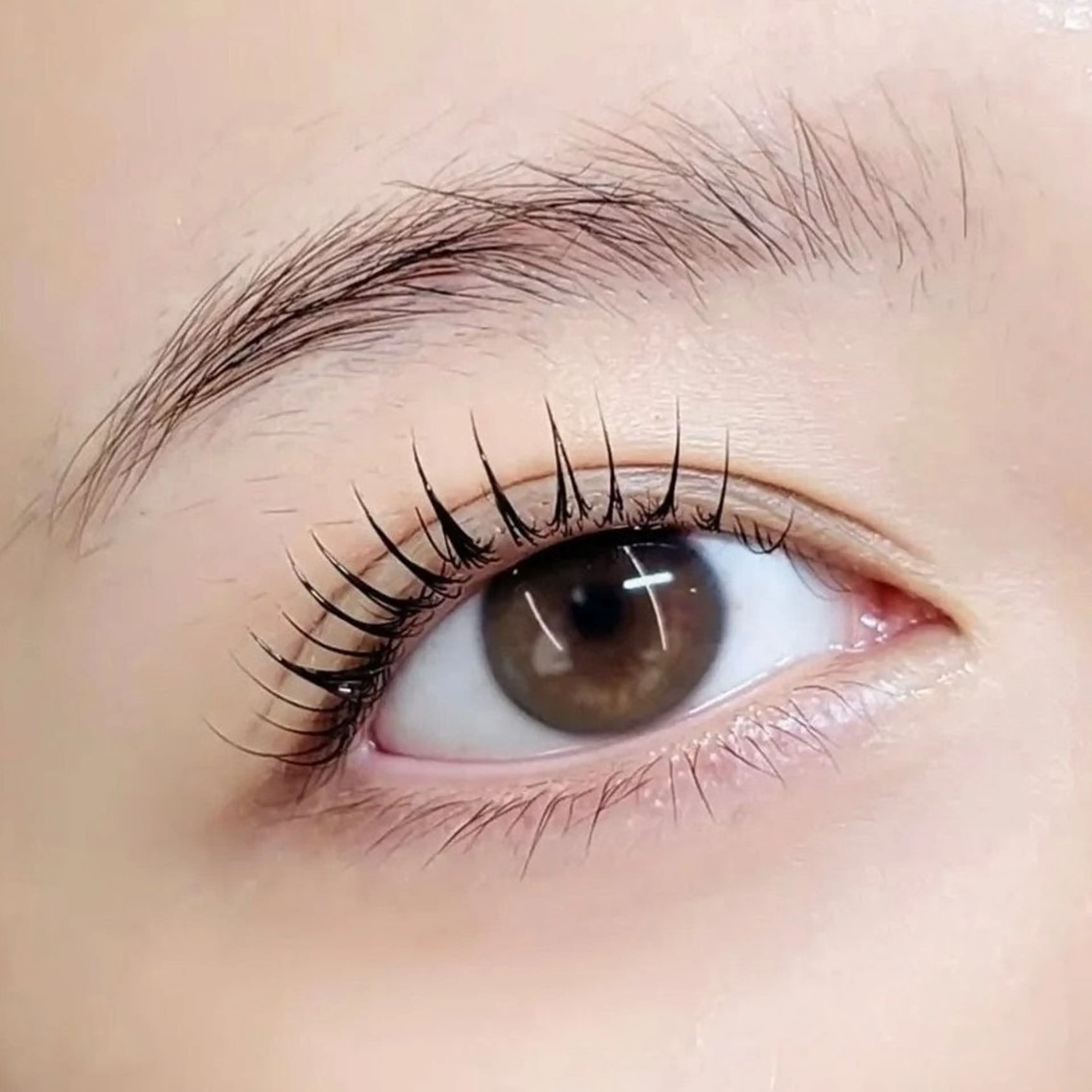 何度でもご利用🆗ノーグルー【パリジェンヌラッシュリフト】束感仕上げ🉑の写真