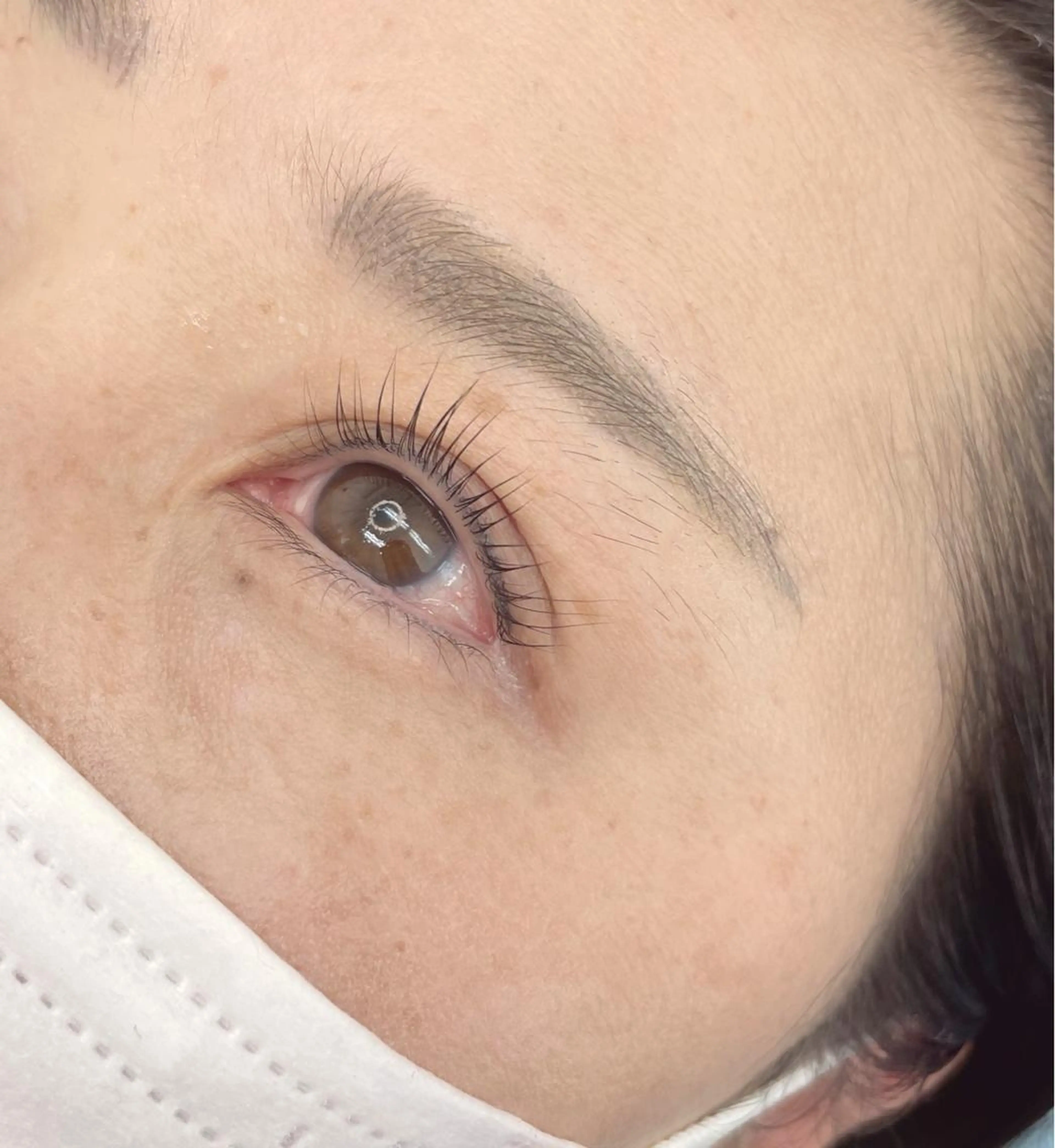 次世代まつげパーマ トリートメント&美容コーティング付の写真