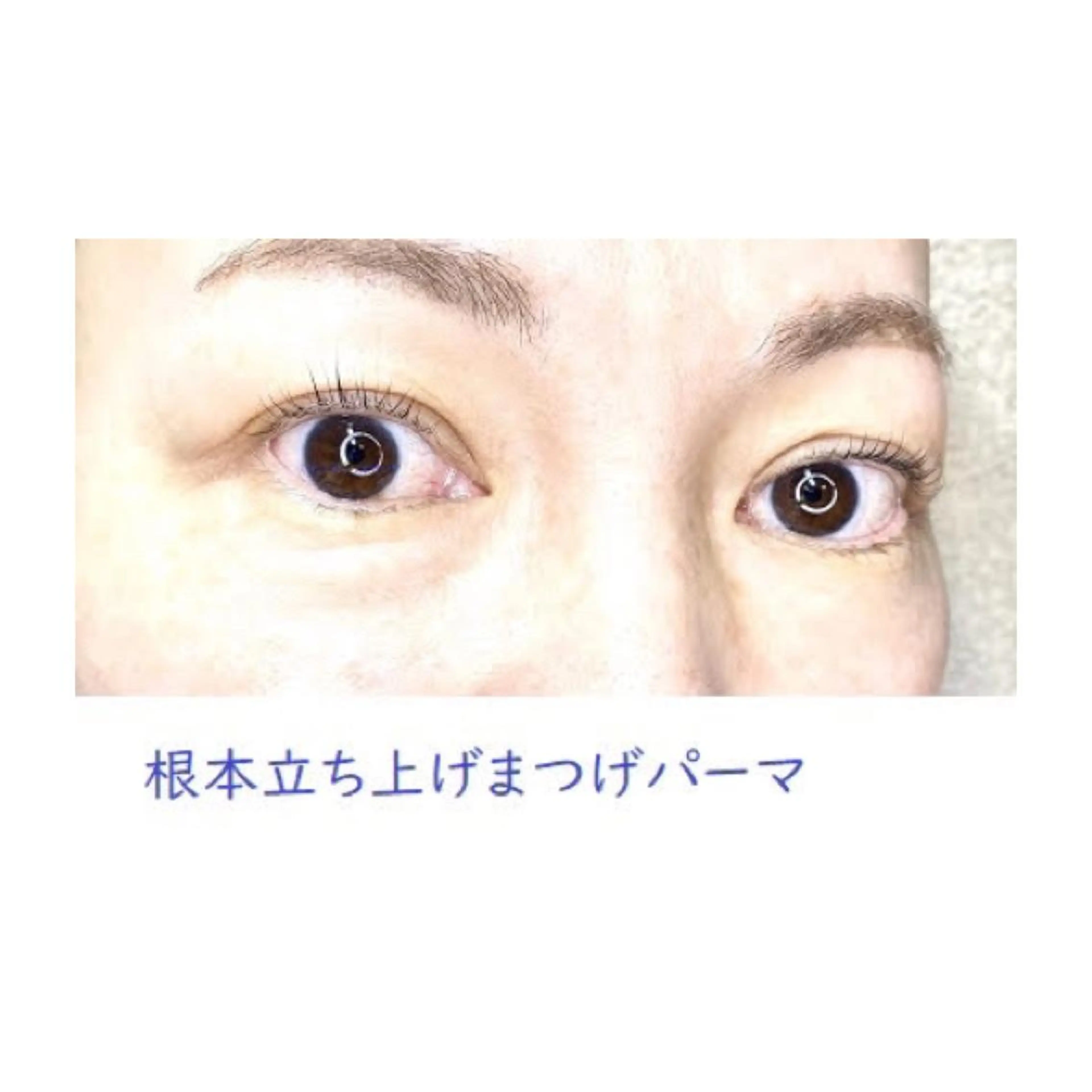 マツエク・マツパ ケラチンラッシュリフト まつげパーマ くびれ作り専門サロン こねこのシッポ虎ノ門のエステ・リラクイメージ