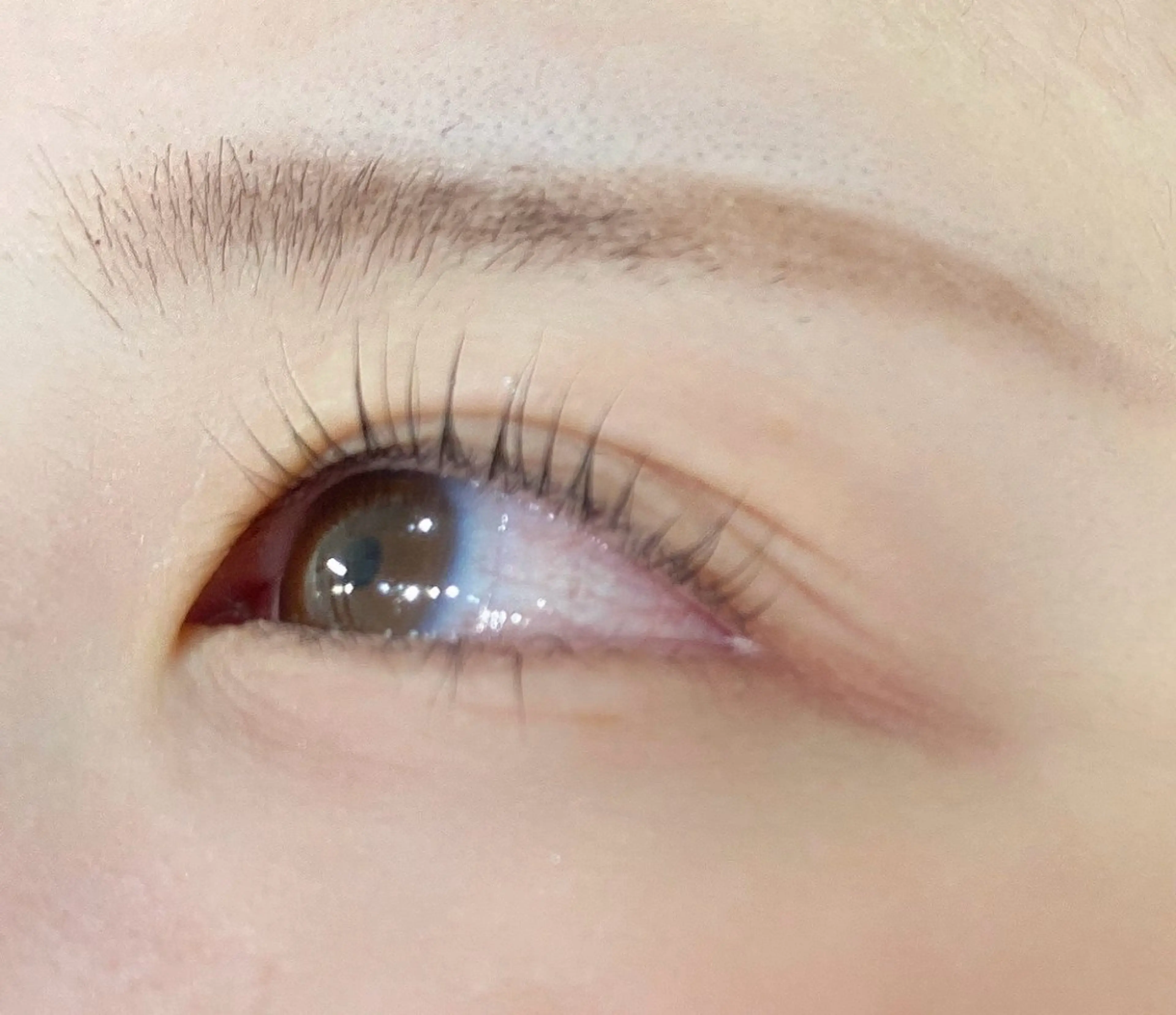 マツエク・マツパ まつげパーマ マツパ 須貝 スガイの眉毛・アイブロウイメージ