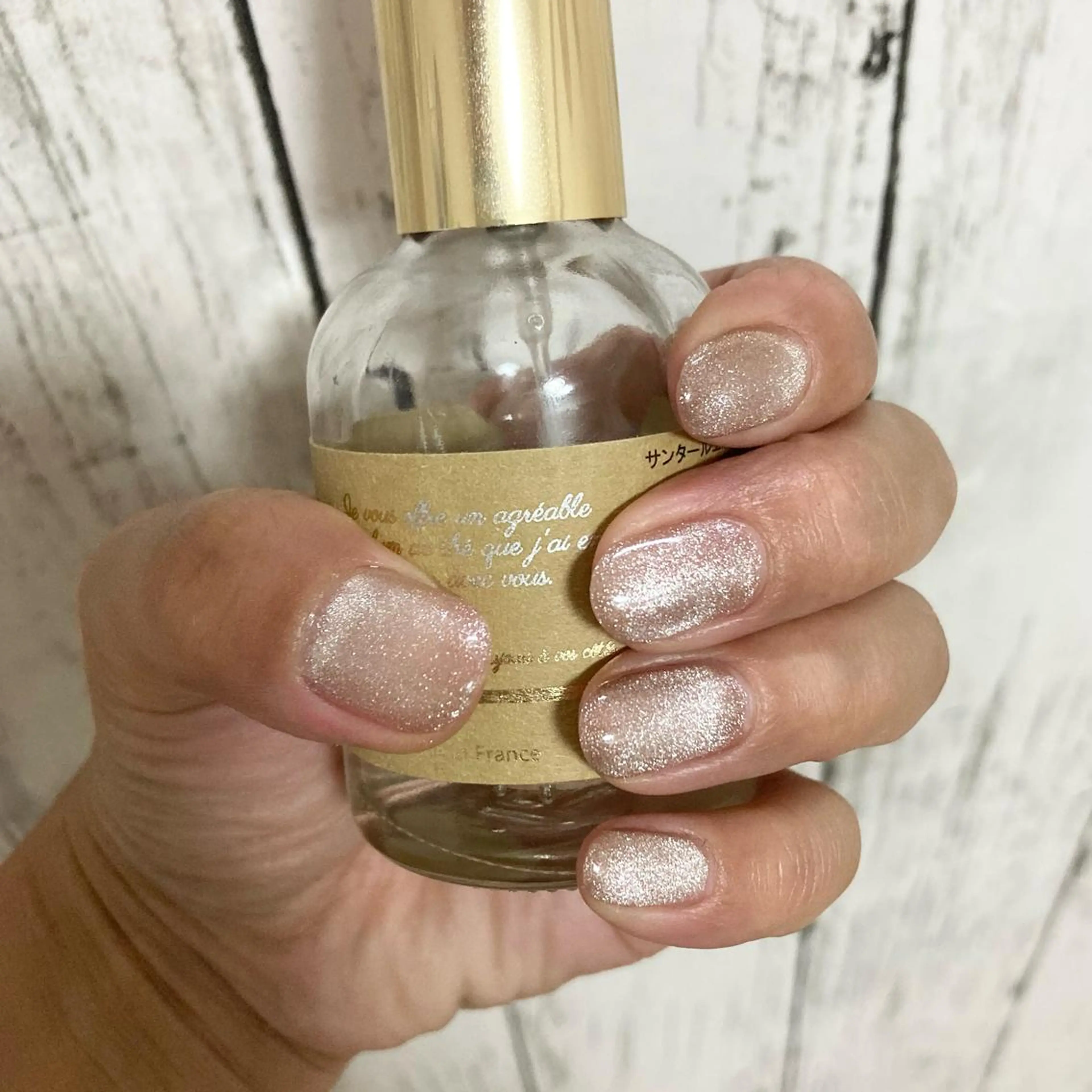 ネイル マグネットネイル RicottEYELASH&NAIL所属・下城 葵のネイルデザイン