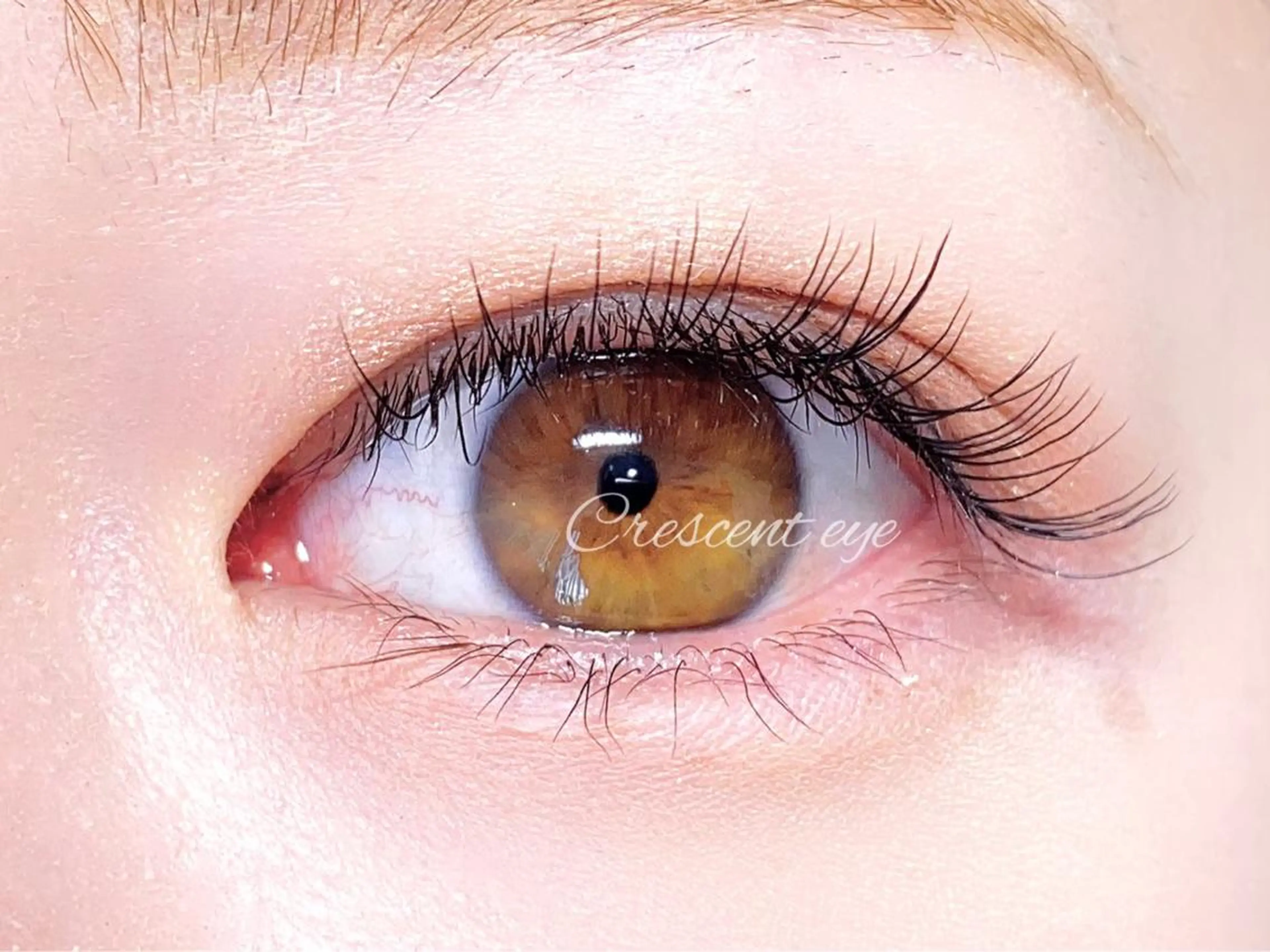 マツエク・マツパ セーブル マツエク ponopipi 小倉店のマツエク・マツパデザイン