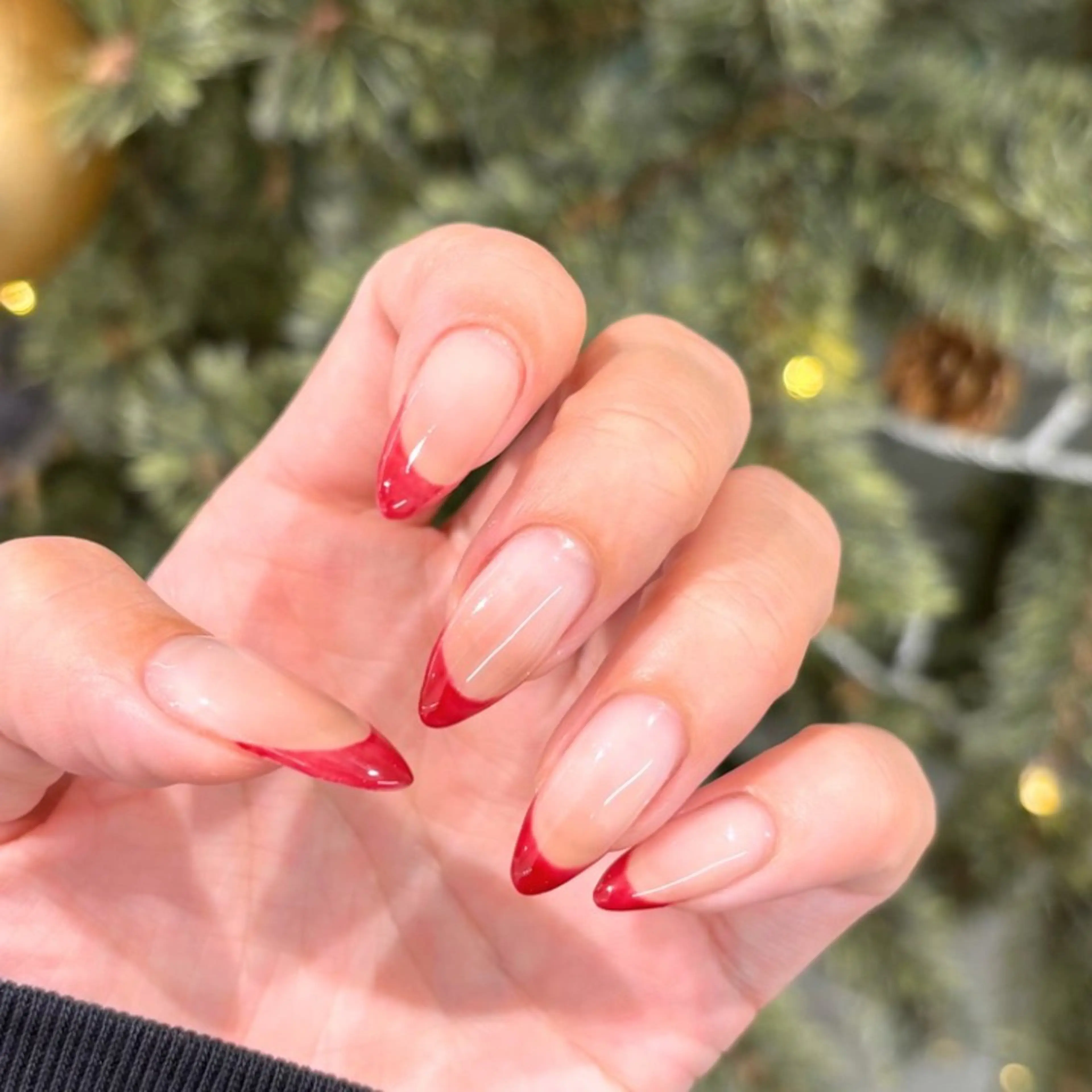 【12月限定価格！】綺麗め派さんに人気！自爪フレンチ💅(オフあり)の写真