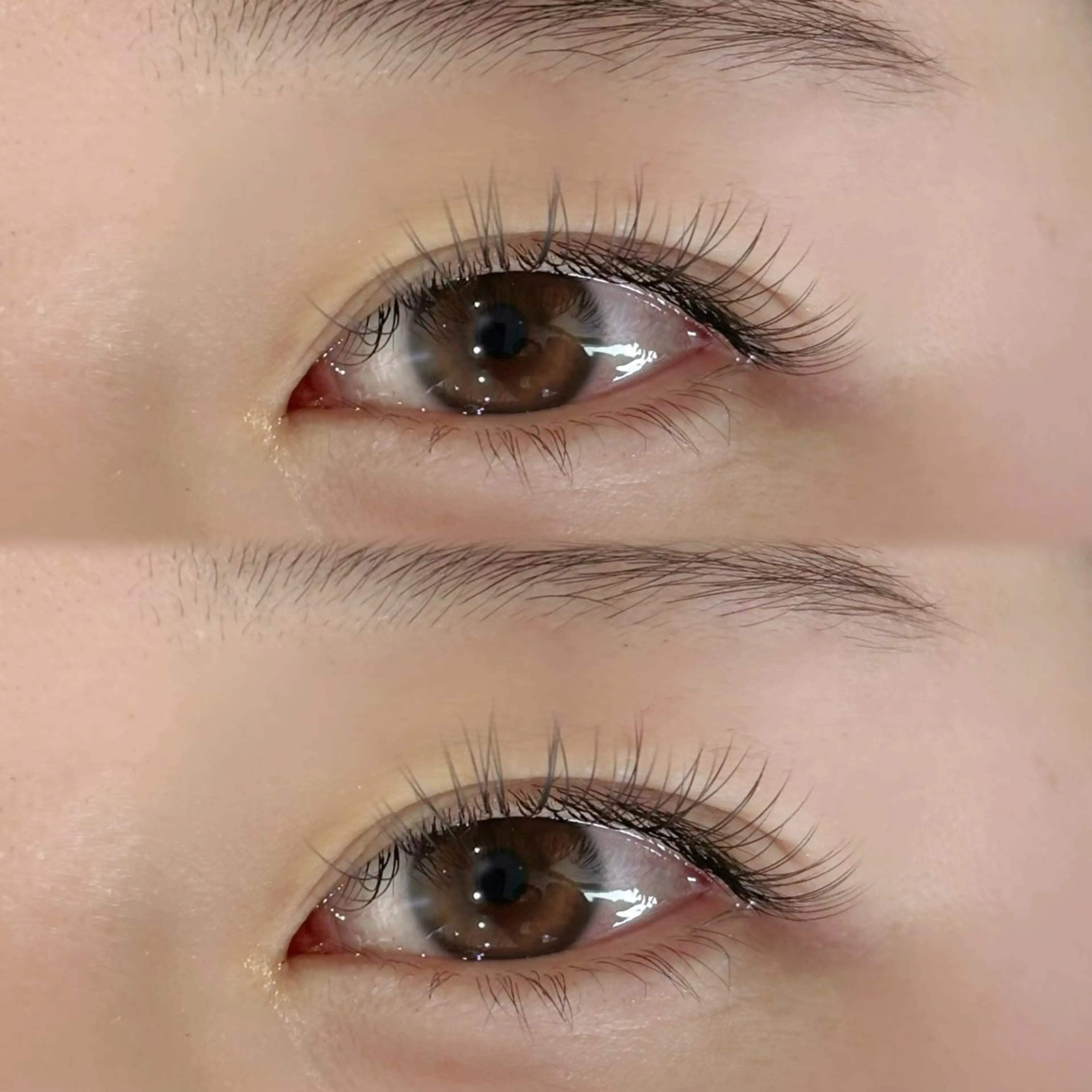 ✨️‎フラットラッシュ120本(オフ込)‎✨️の写真
