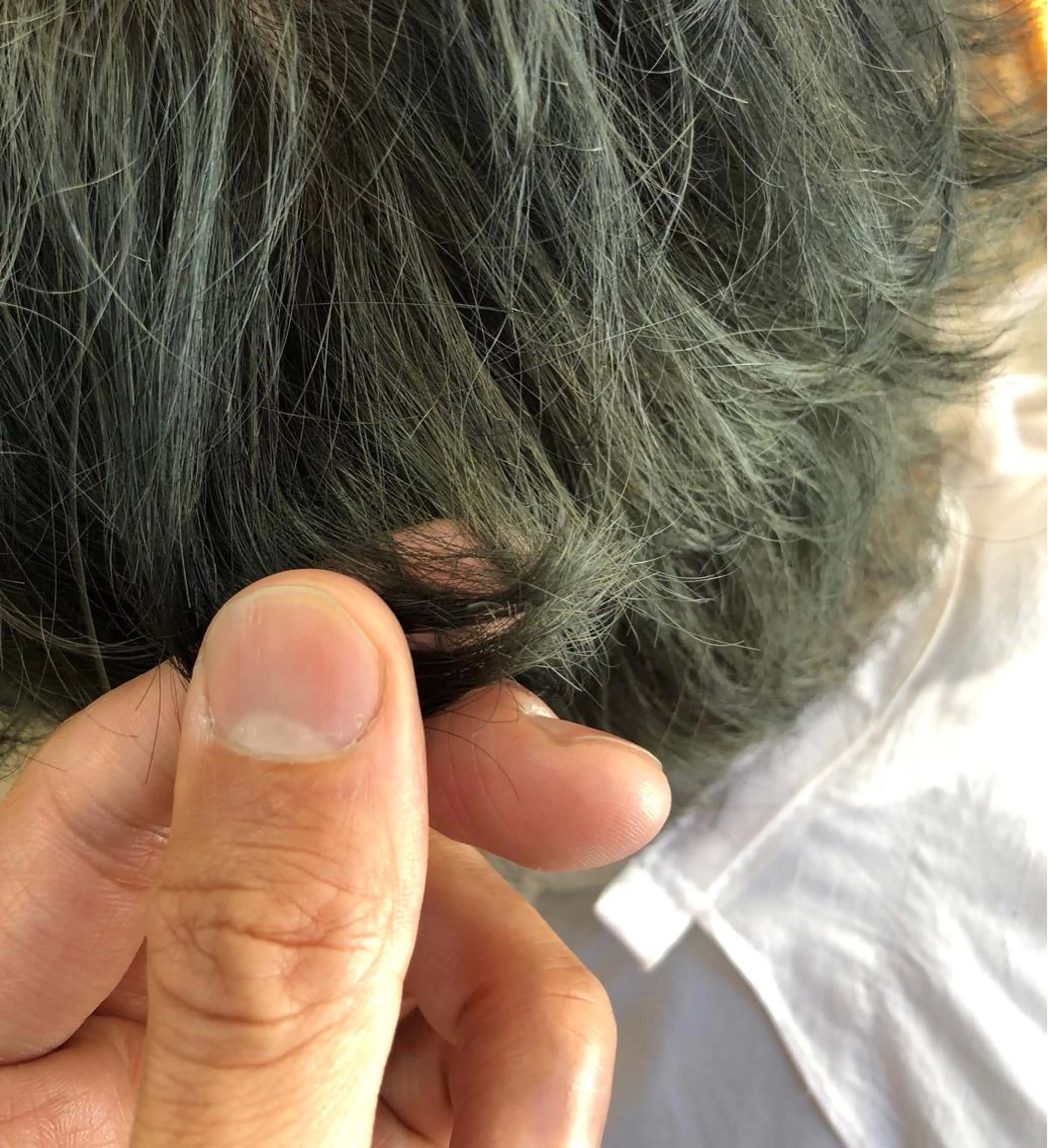 カラー アッシュ グレージュ カーキグレージュ 野々山 直貴のヘアスタイル
