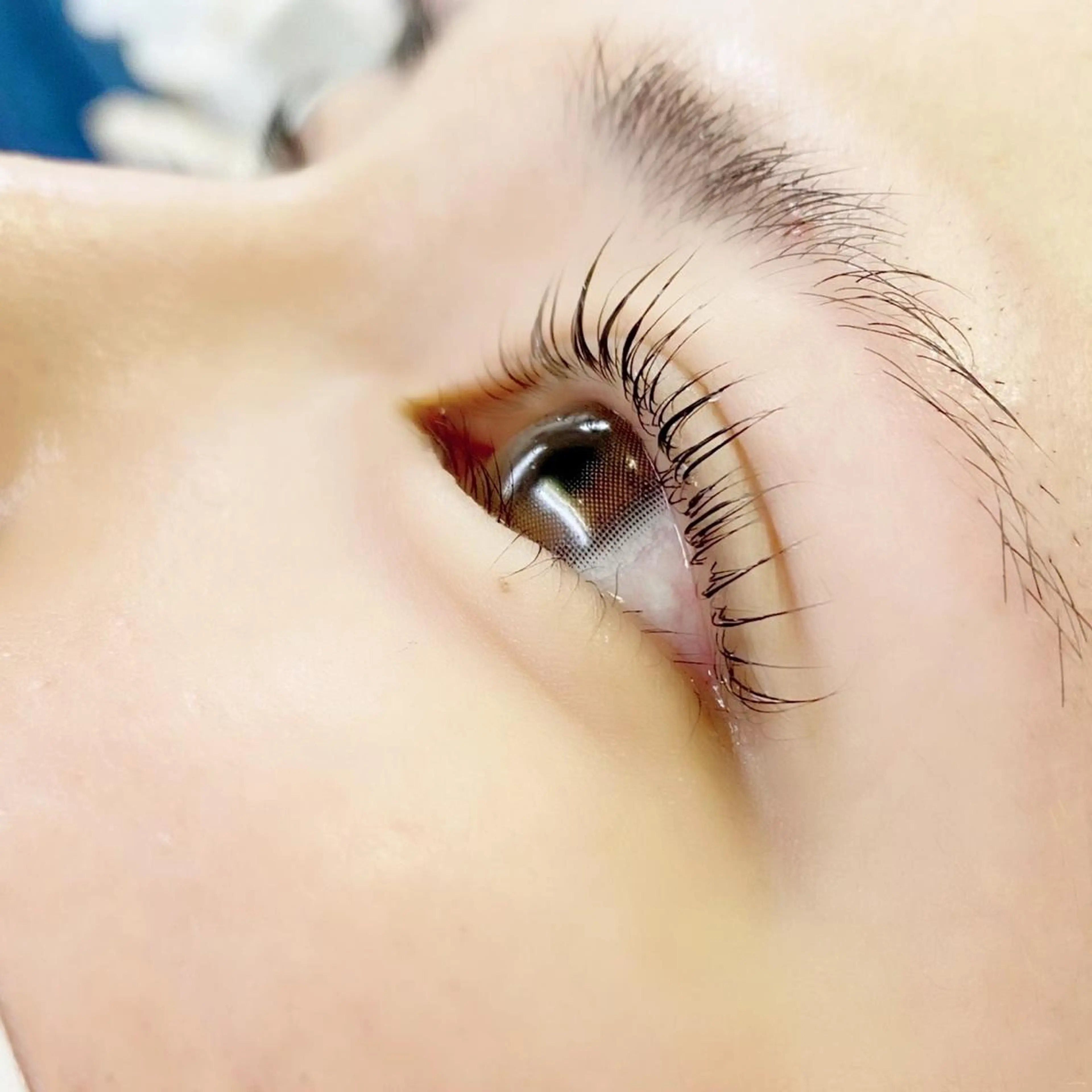 マツエク・マツパ Lily所属・横浜/鶴屋町/美容室 LilyHitomiの眉毛・アイブロウイメージ