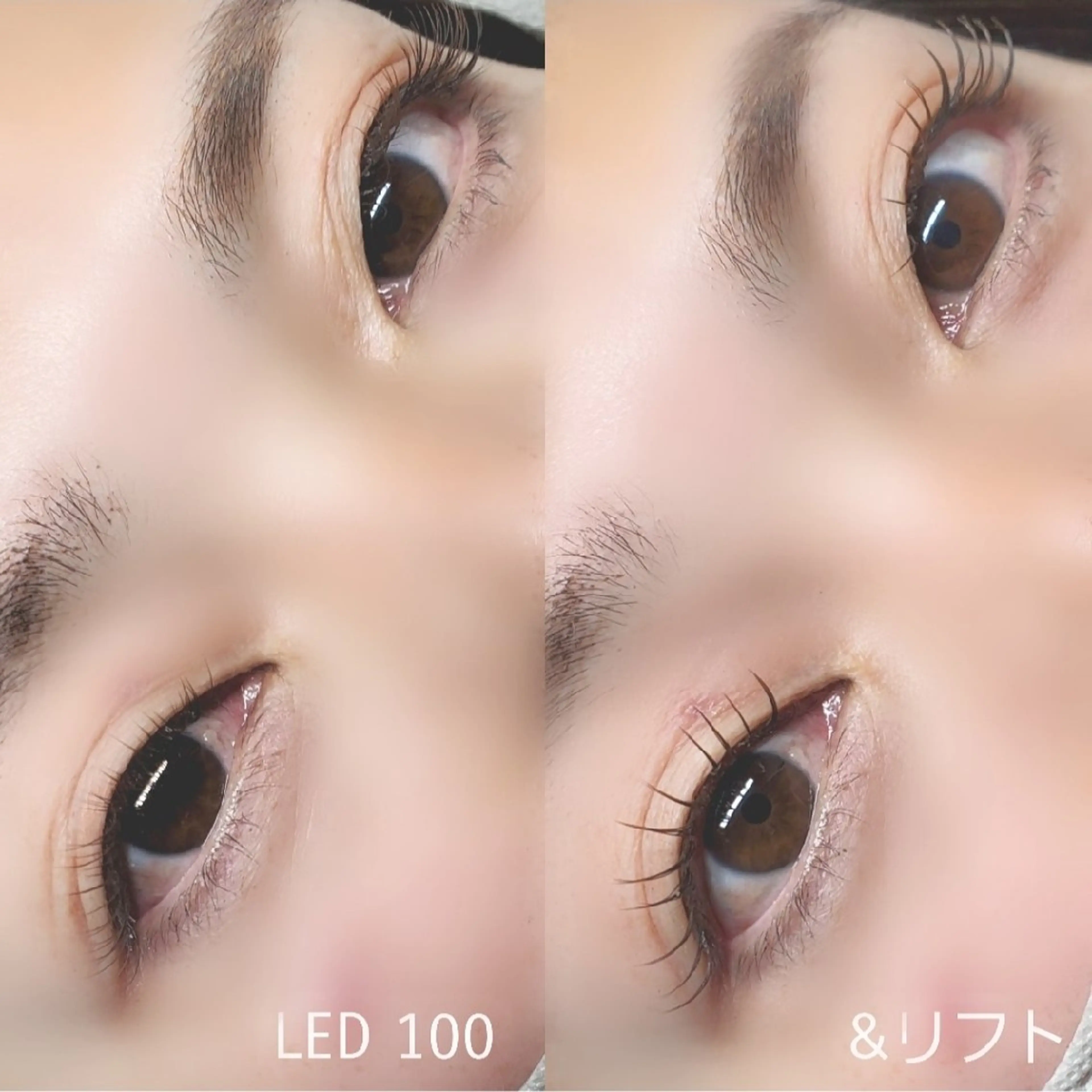 LEDまつエク×パーマ　フラットラッシュ100本の写真