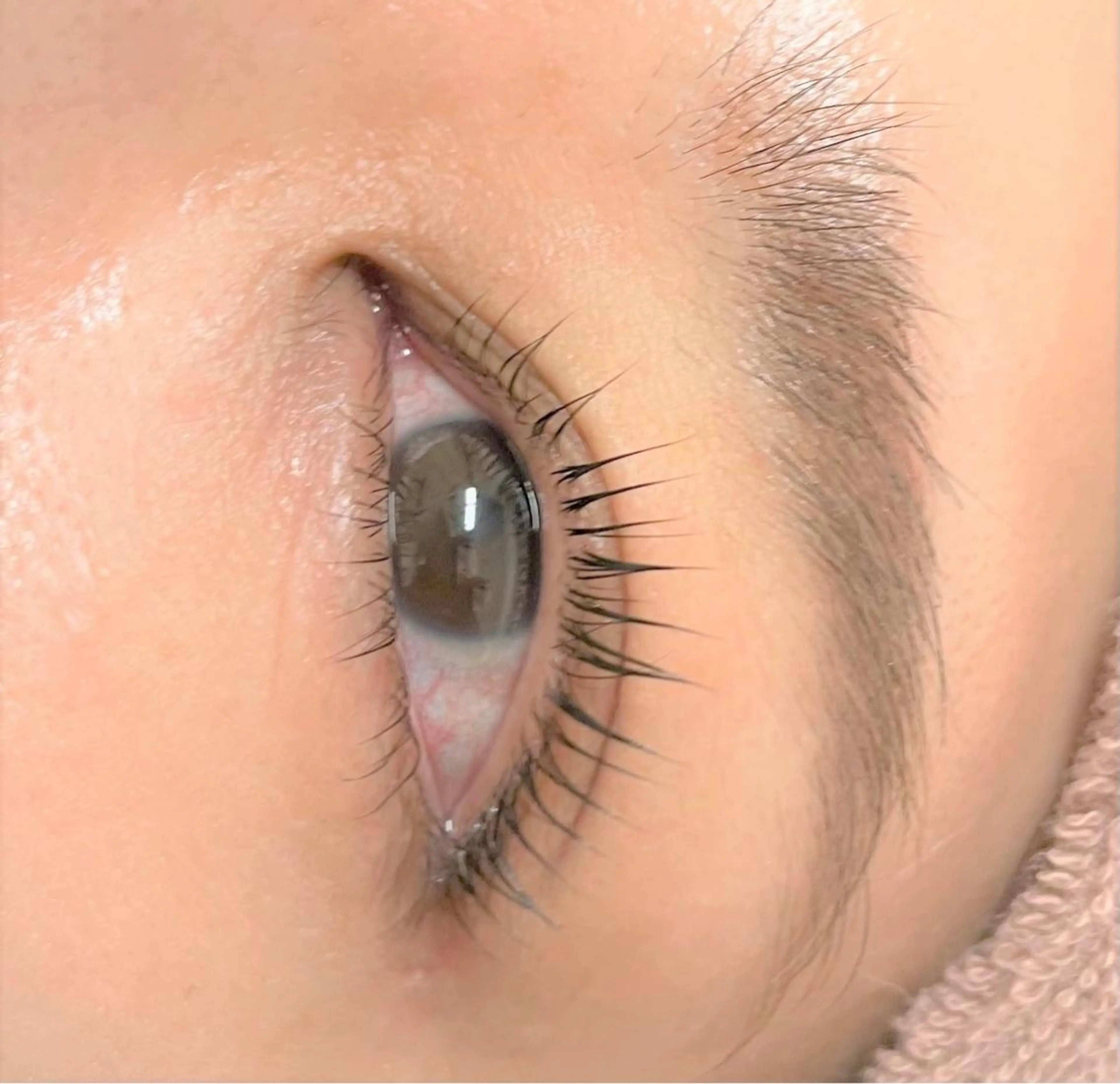 マツエク・マツパ パリジェンヌラッシュリフト Nail＆Eyelash大阪梅田 MAXKELLY所属・マックスケリー 荒冷のマツエク・マツパデザイン