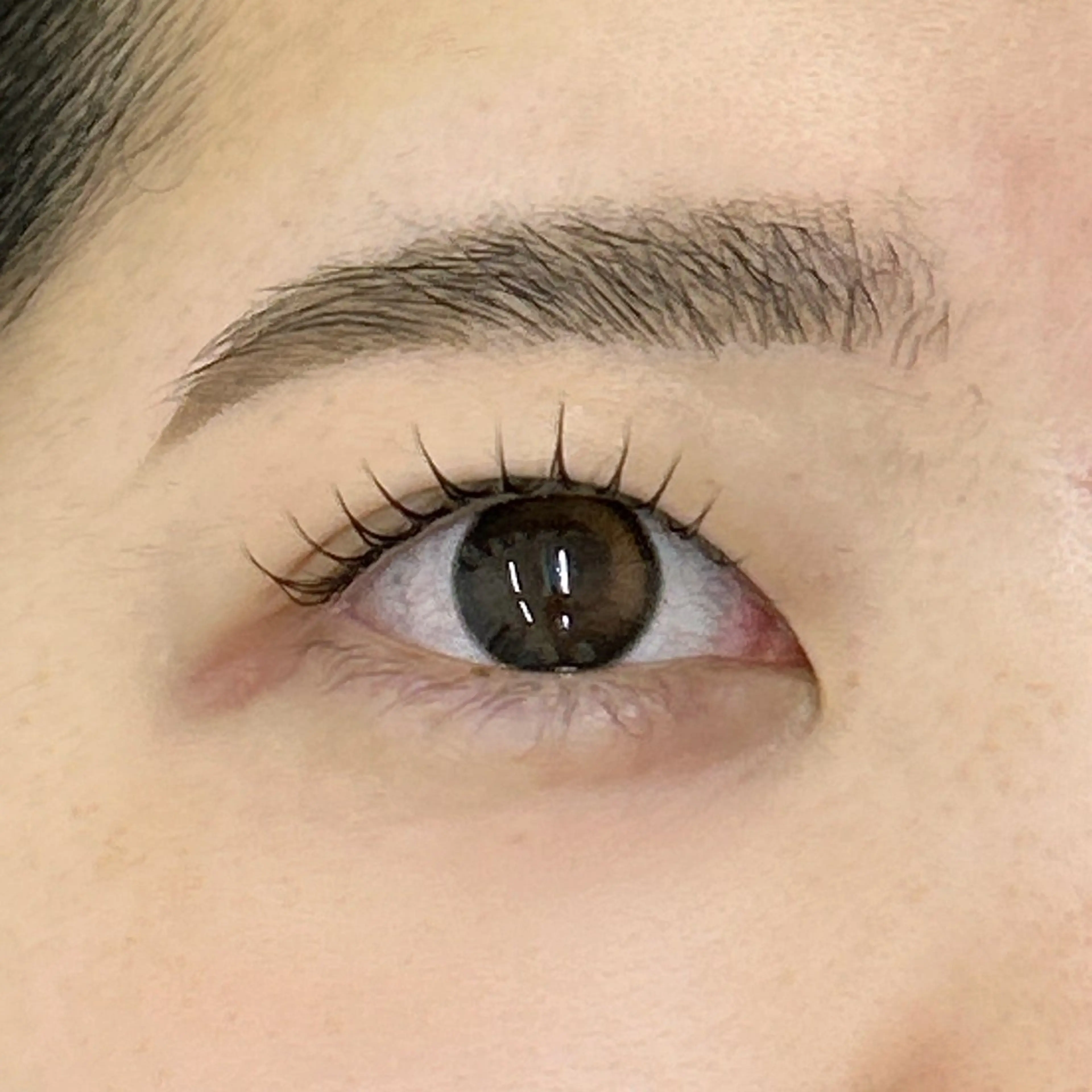 マツエク・マツパ マツパ uland yuzukiの眉毛・アイブロウイメージ