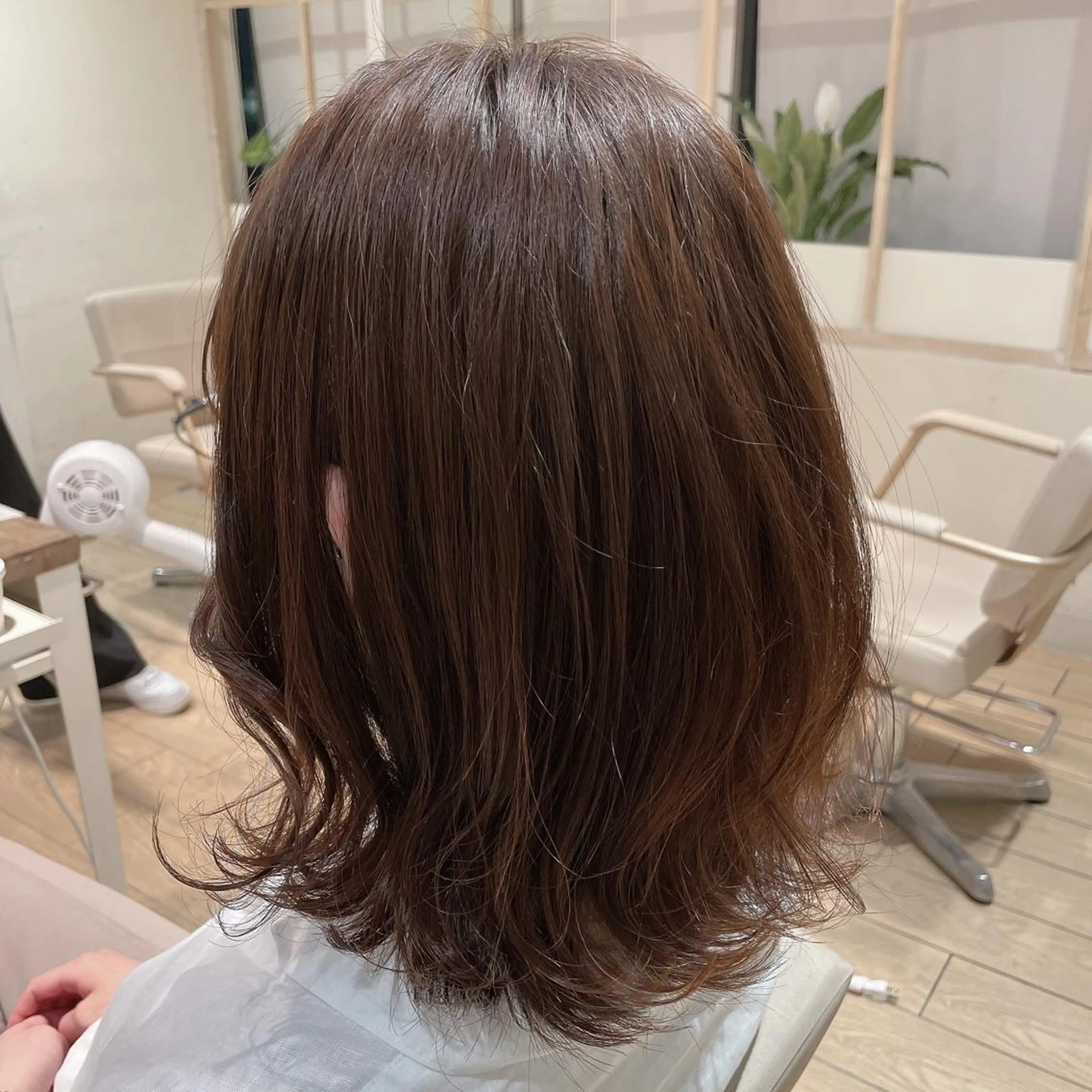 ミディアム カラー 市原 大翼のヘアスタイル