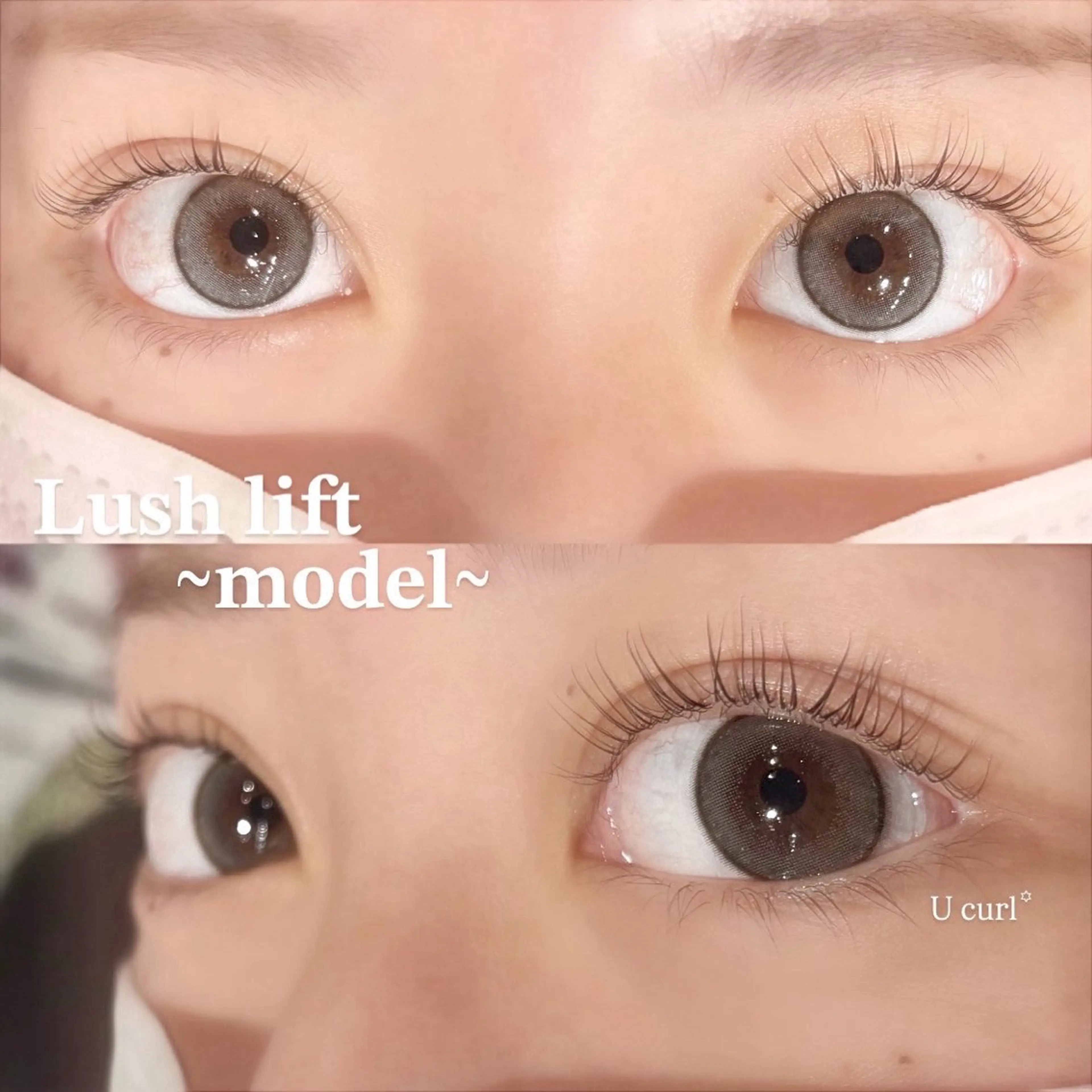 マツエク・マツパ まつげパーマ CoCo Eye CoCo Tume 【ココアイ/ココツメ】 ハローズ中庄店所属・倉敷ココアイココツメ kumamoto🪽の眉毛・アイブロウイメージ