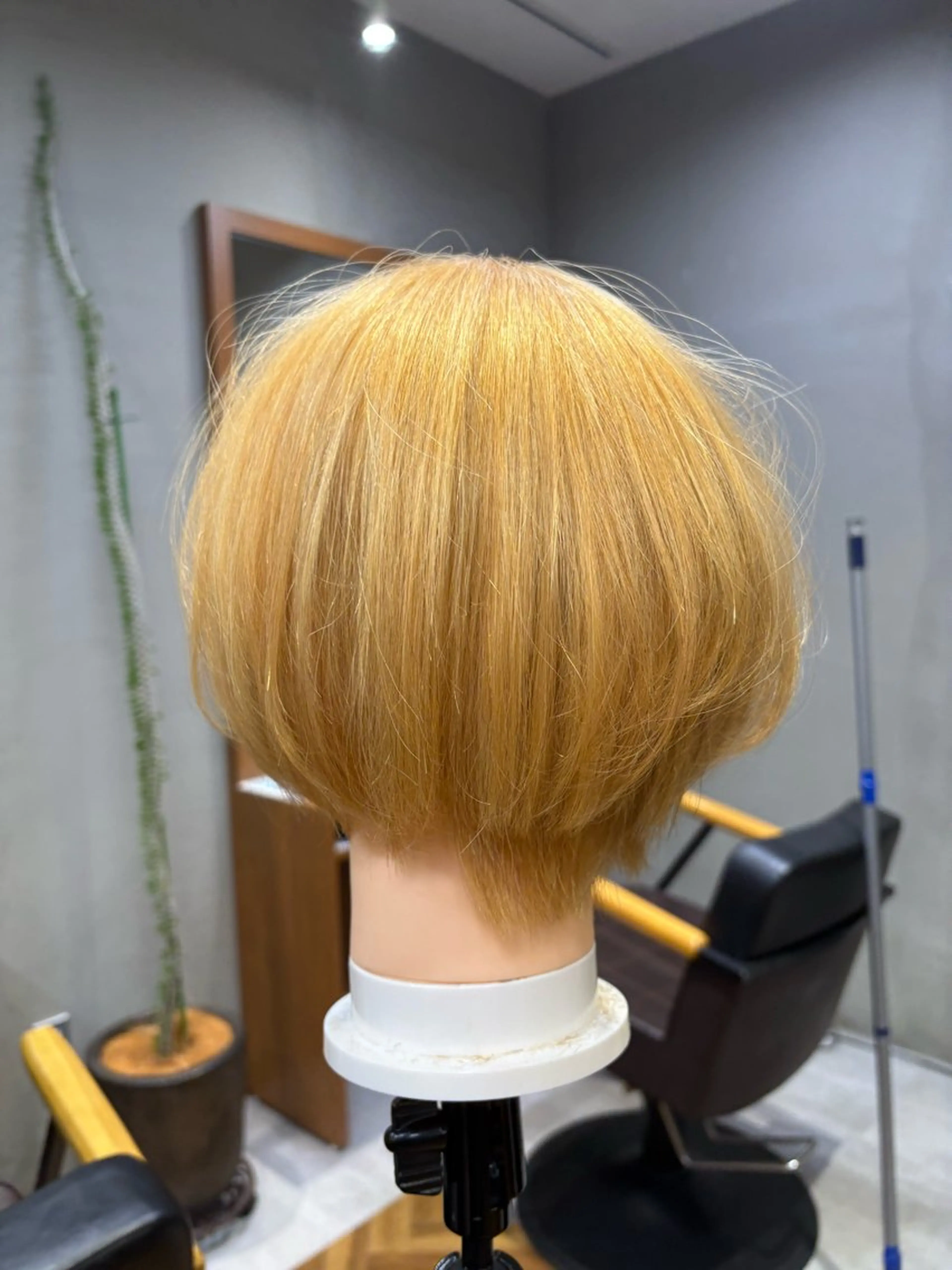 ショート 吉祥寺【髪質改善カラ ー/ブリーチ】藤井のヘアスタイル