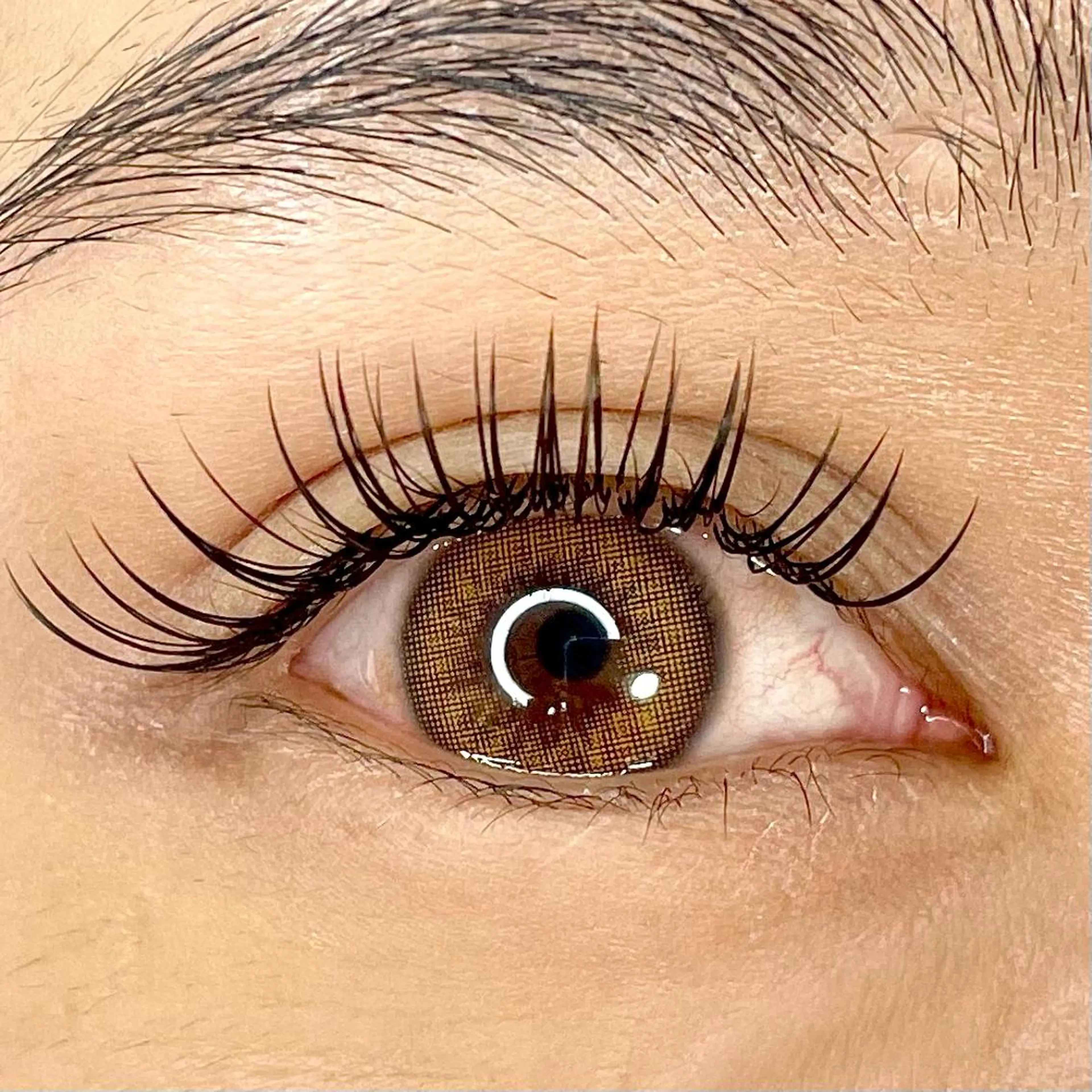 マツエク・マツパ アイブロウ 眉カラー カラーマツエク ナチュラル MAUMU eyelash&eyebrow salon所属・Honda〻 mako  北堀江のマツエク・マツパデザイン