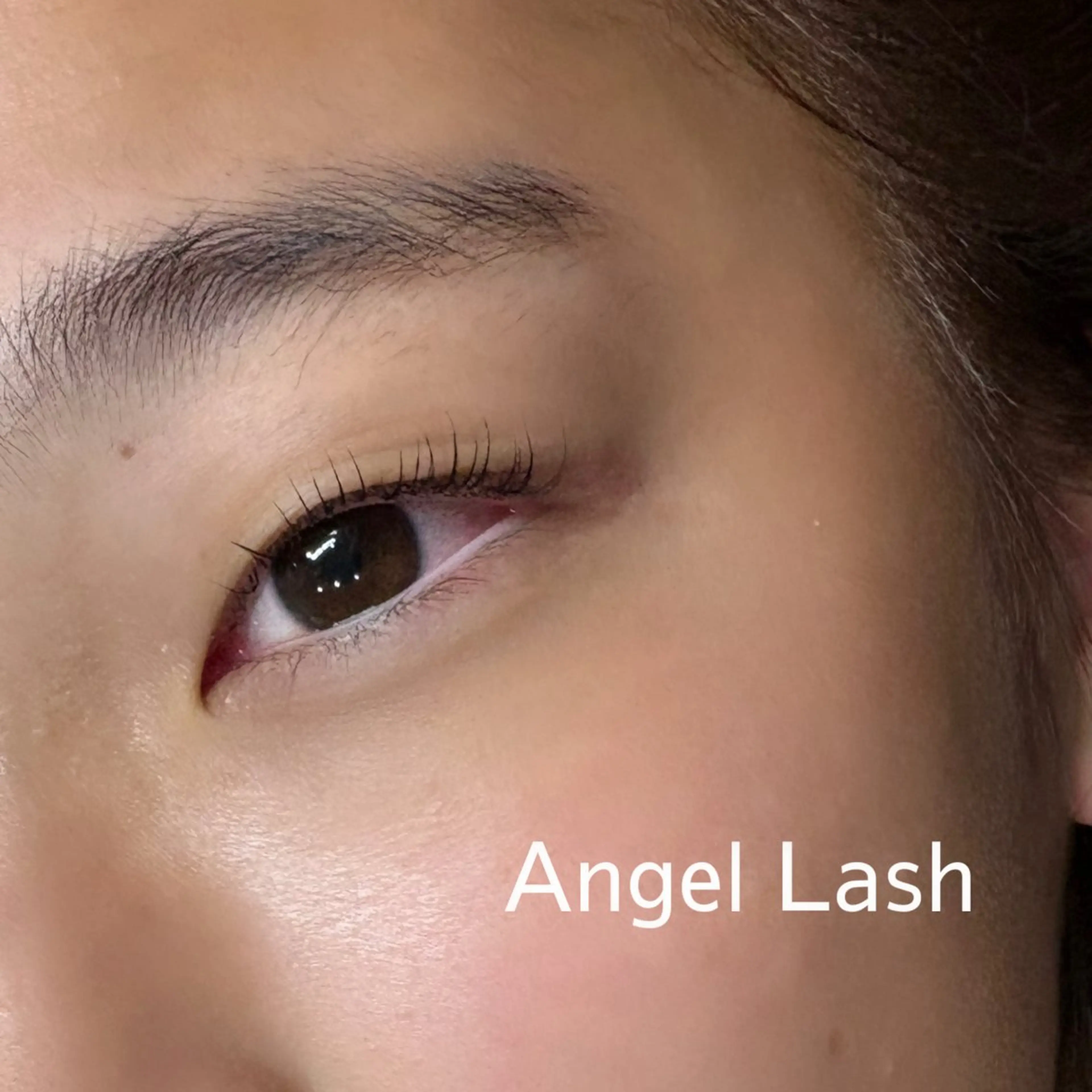 マツエク・マツパ マツパ AngleLash hayashiのマツエク・マツパデザイン