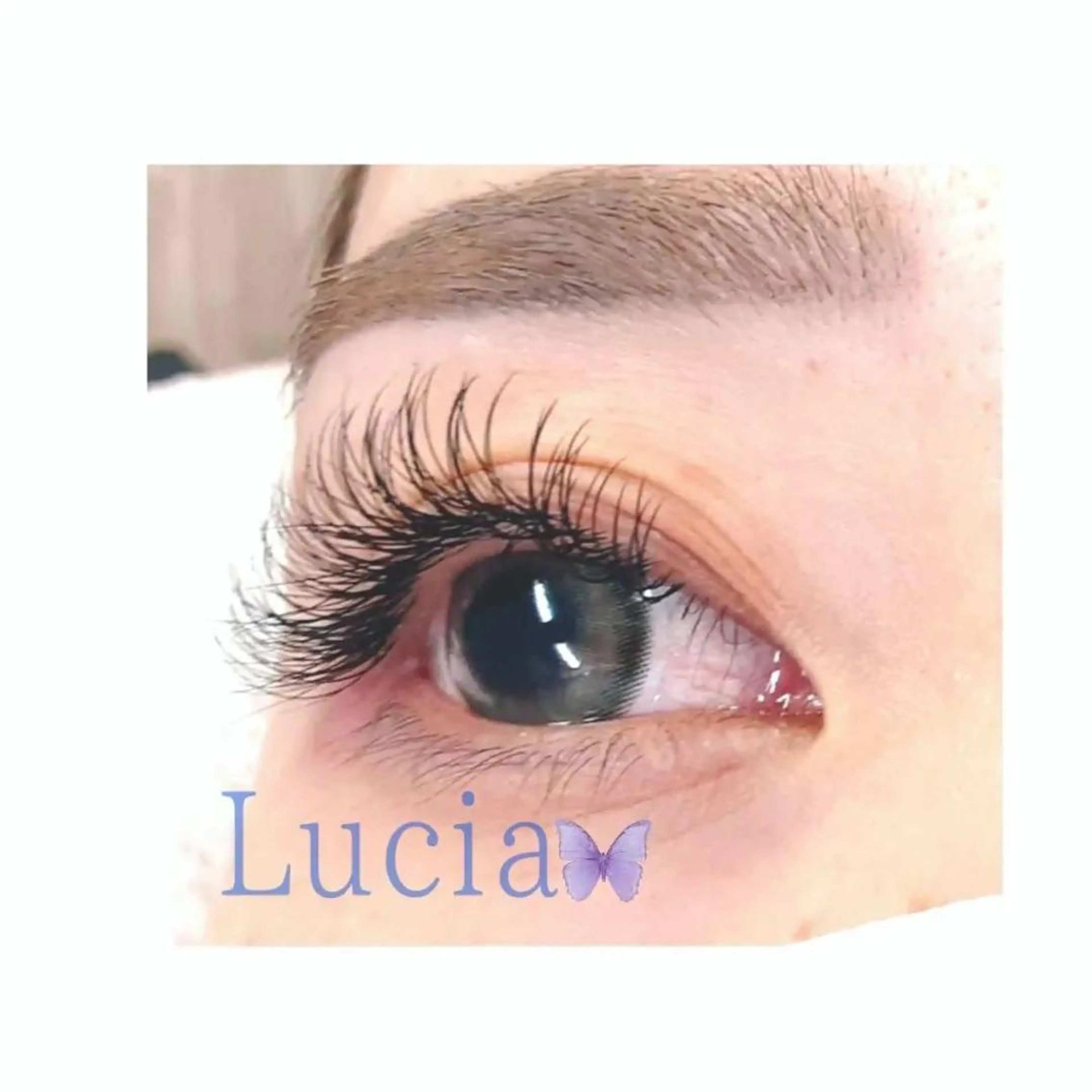 マツエク・マツパ LUCIA ルチアのマツエク・マツパデザイン